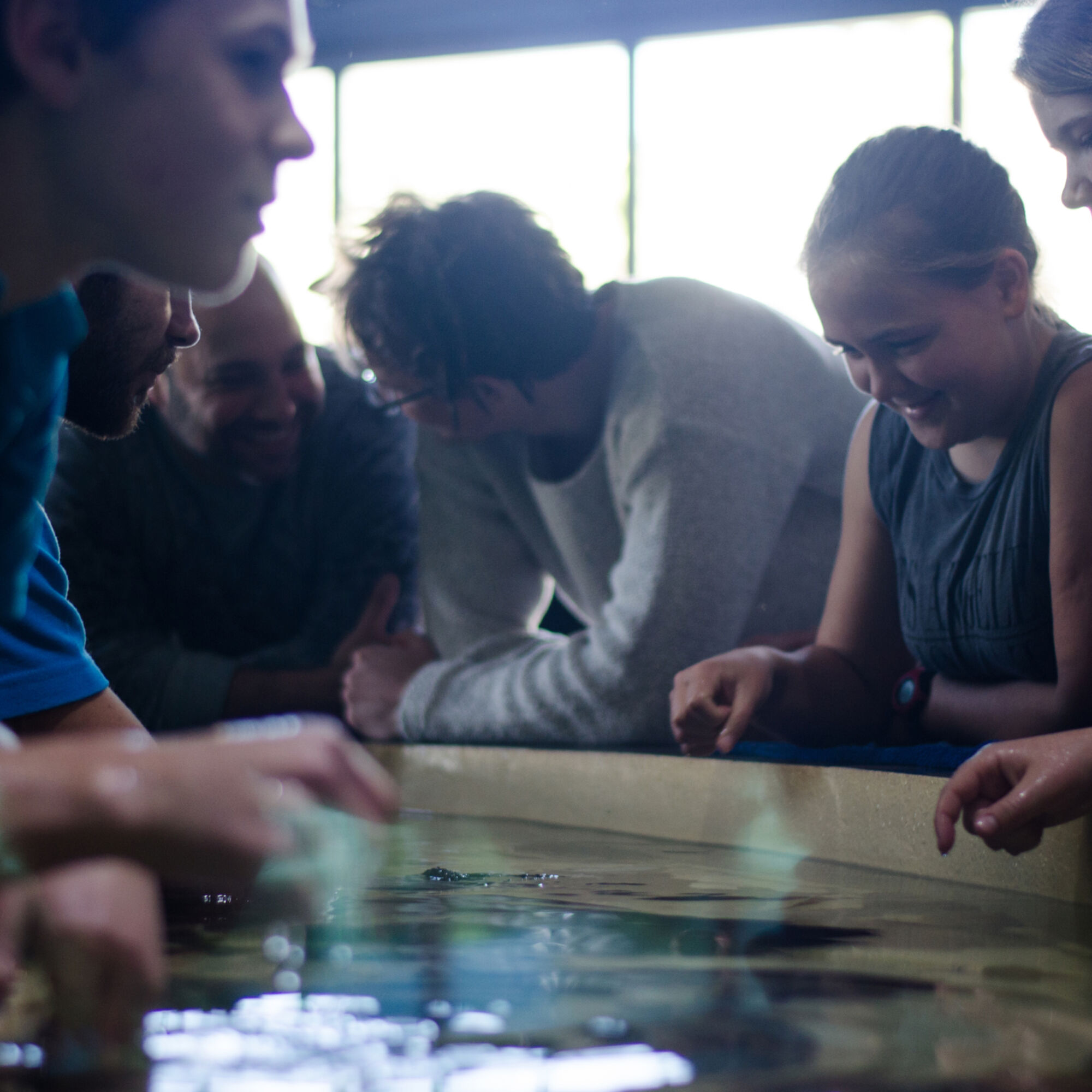 The Two Oceans Aquarium at the VA Waterfront