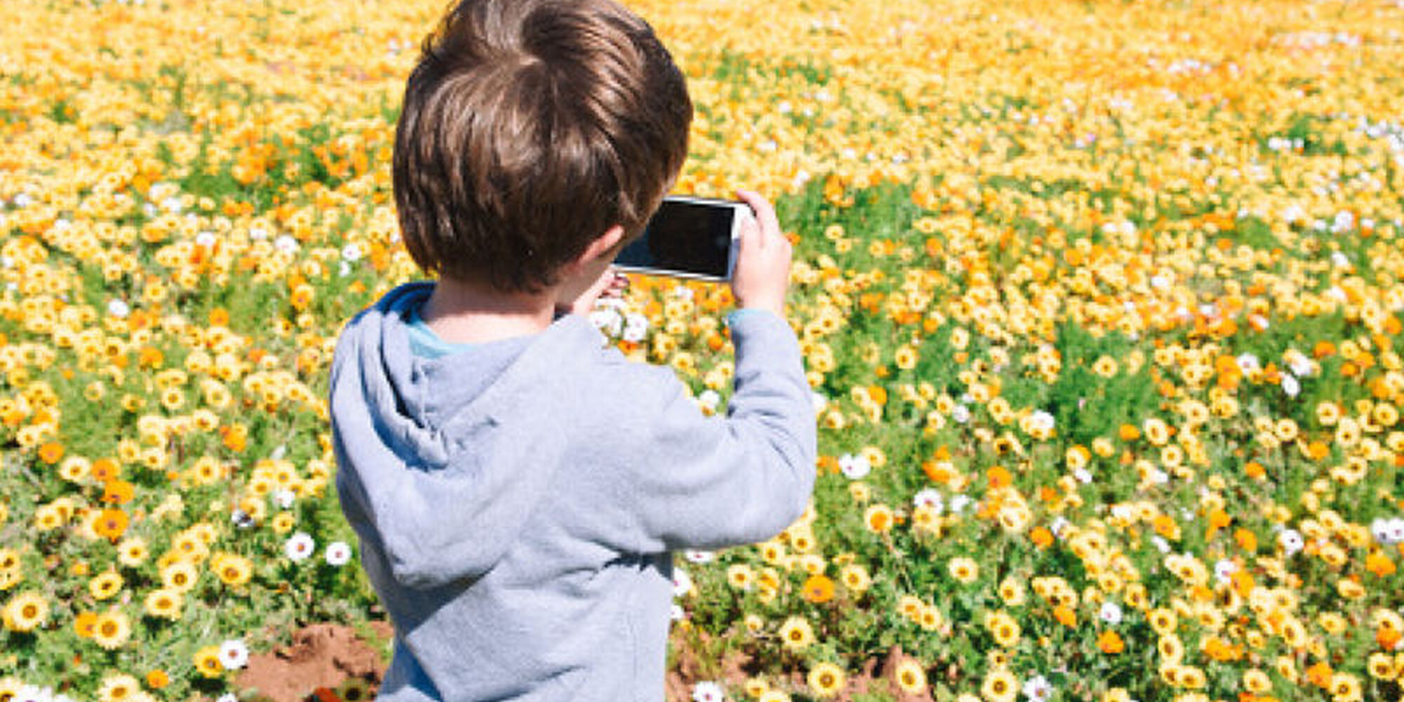 1566973453843 Eyx RQ6 Wk Bw