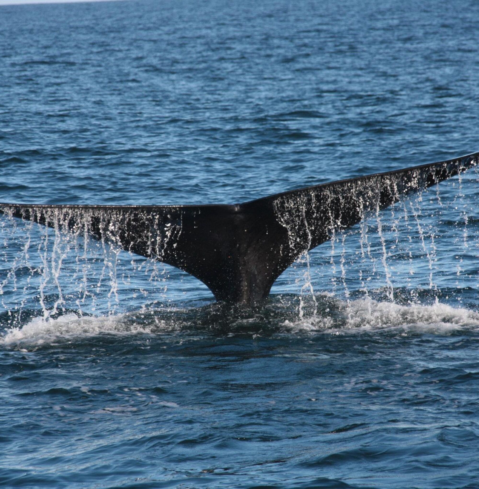 1565081629695 V1e AEJ Nz XD