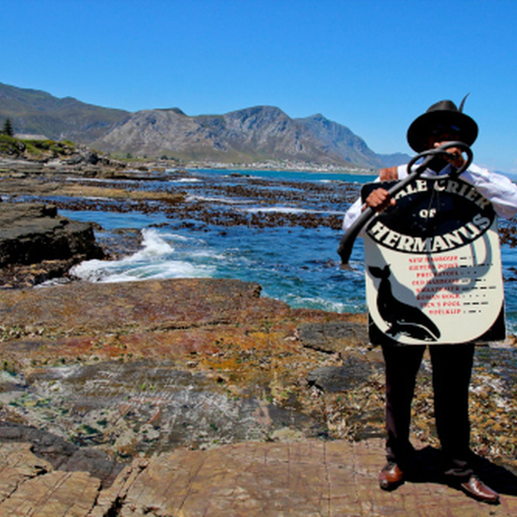 1565081794848 4kx X1x4f7 P