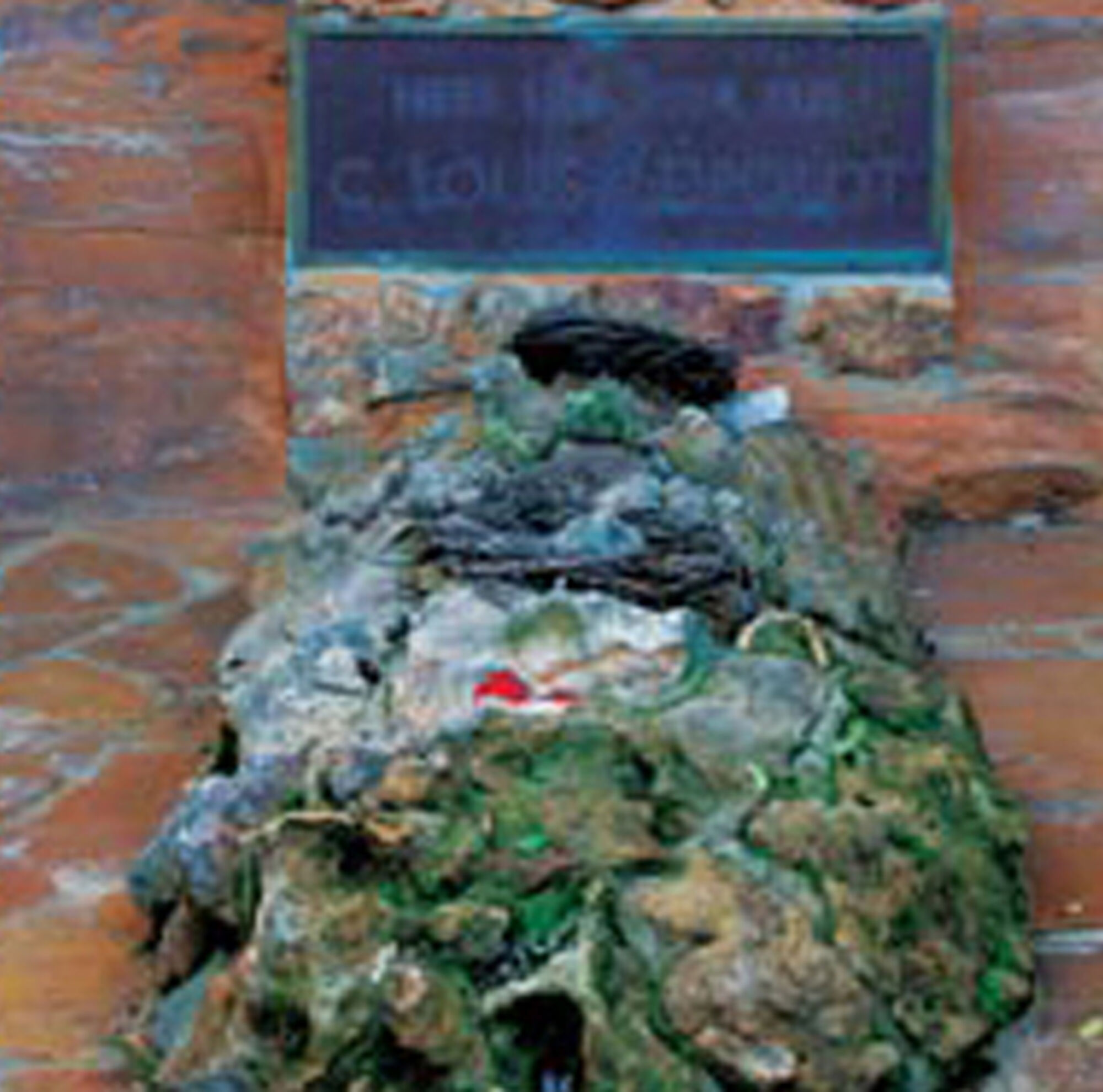 3c81676021e2a8e6a69010b70fc9c731