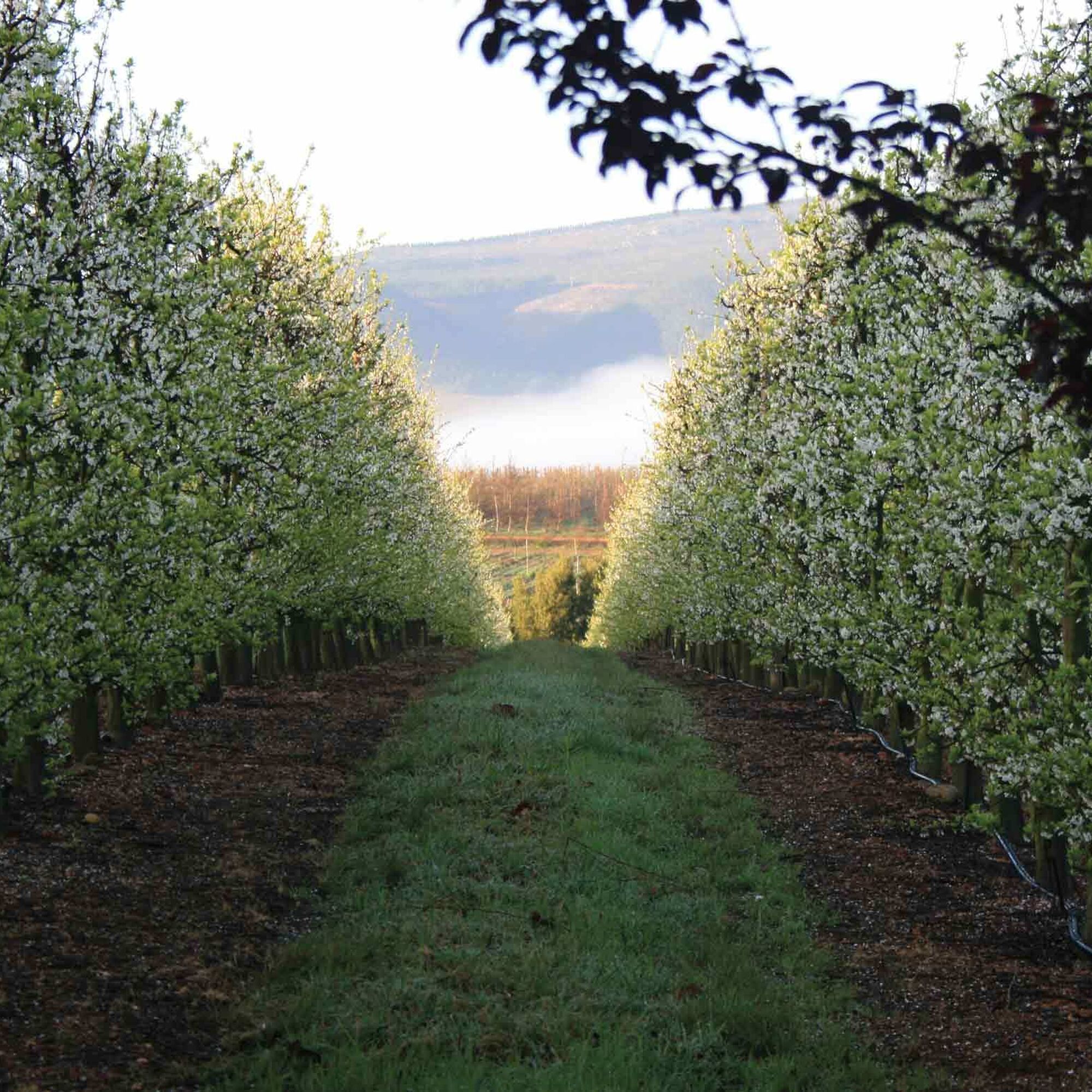 6a5751e64cc6948f2c67ff6a63dcc2b6