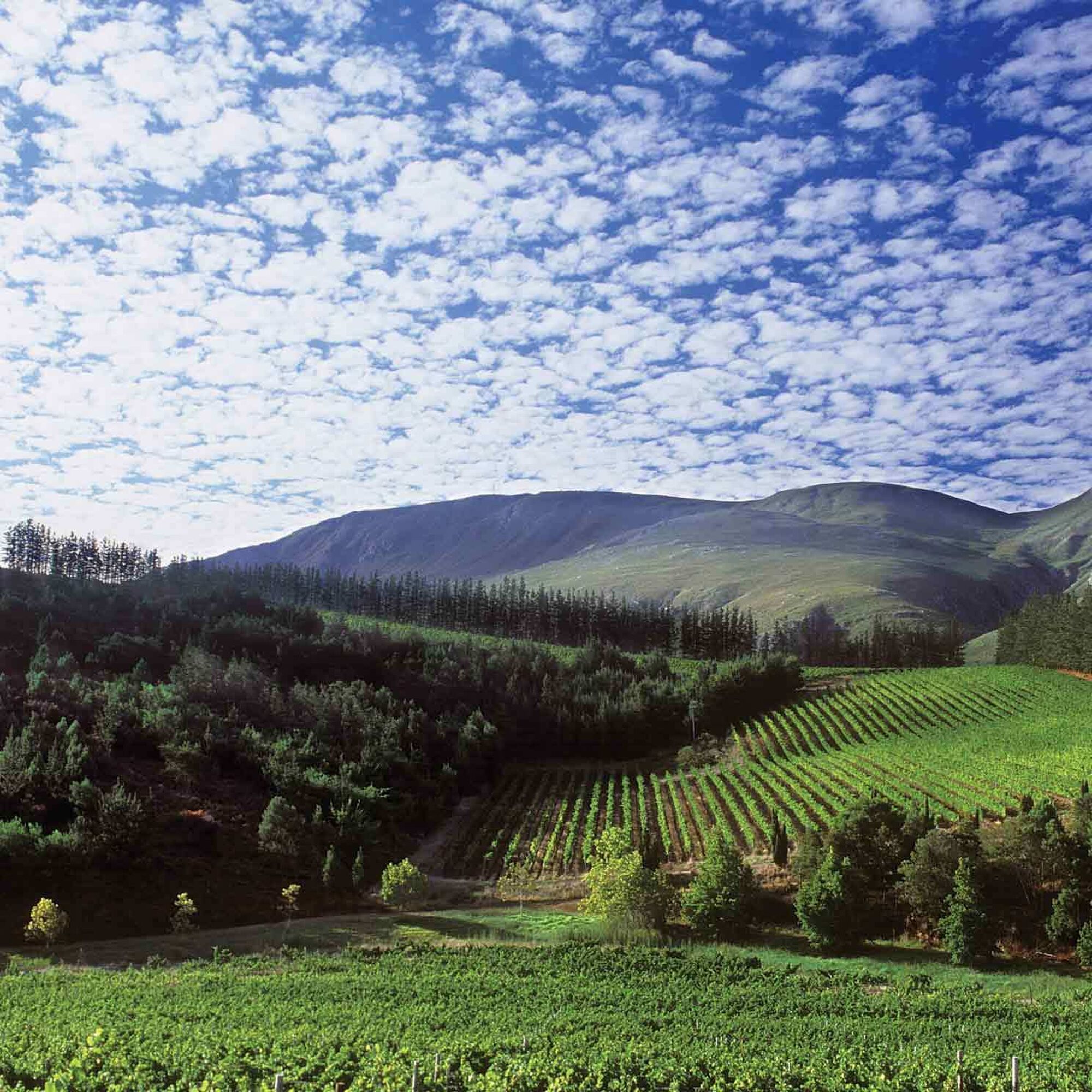 22546933a1677fcf460043a8a808c2b5