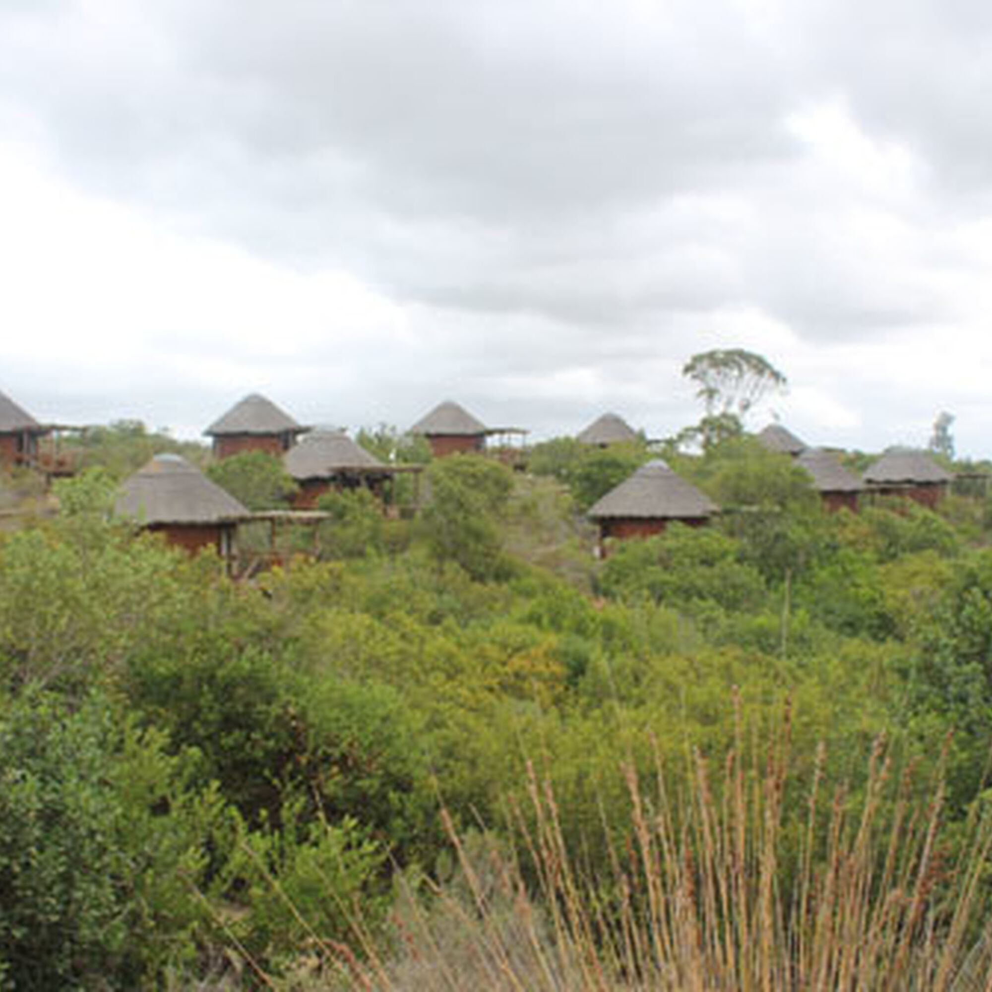 1494323964877 4 Jga Gf Yc JX