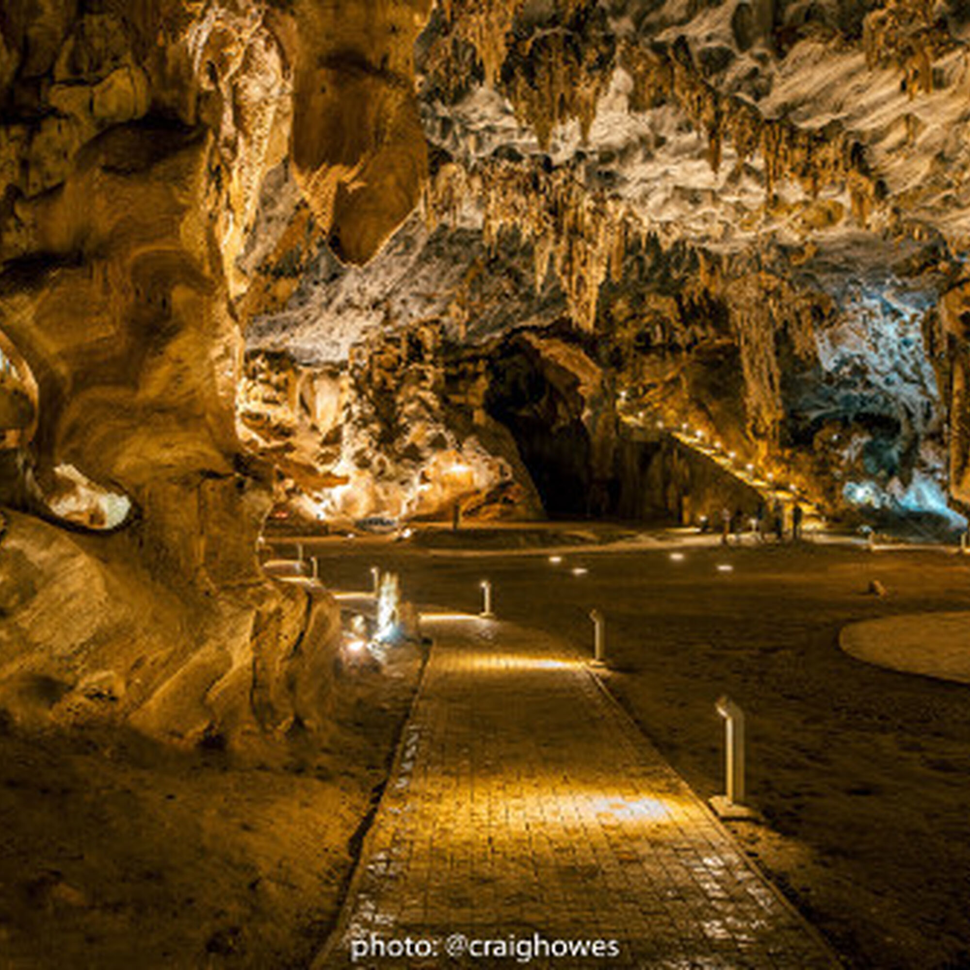 1497265911664 V1ld MID Df X