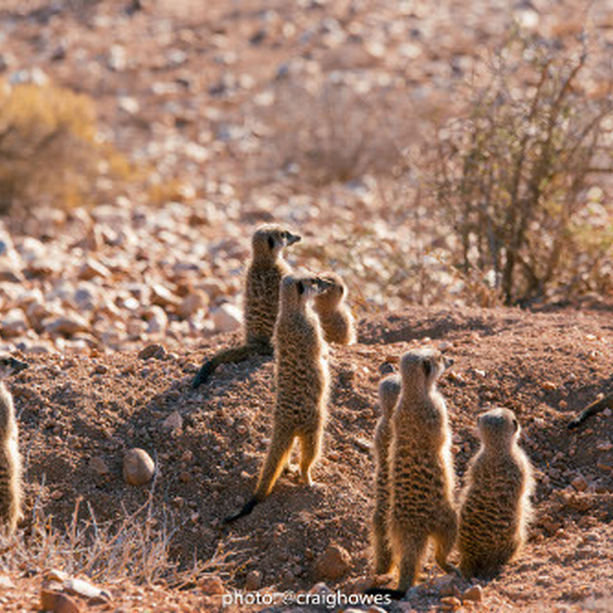 1497265936898 Vkxb V Iwvzm