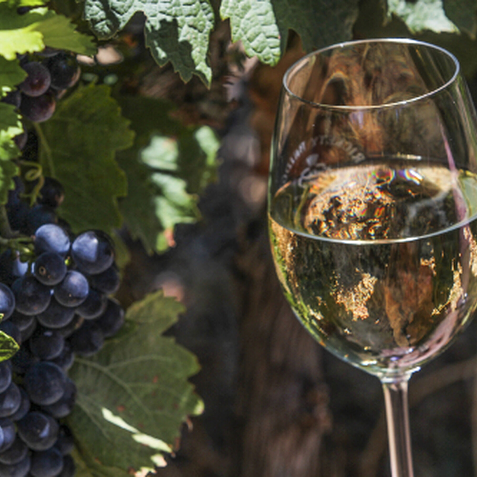 1505915759819 4 Jex5 Gwj9 X