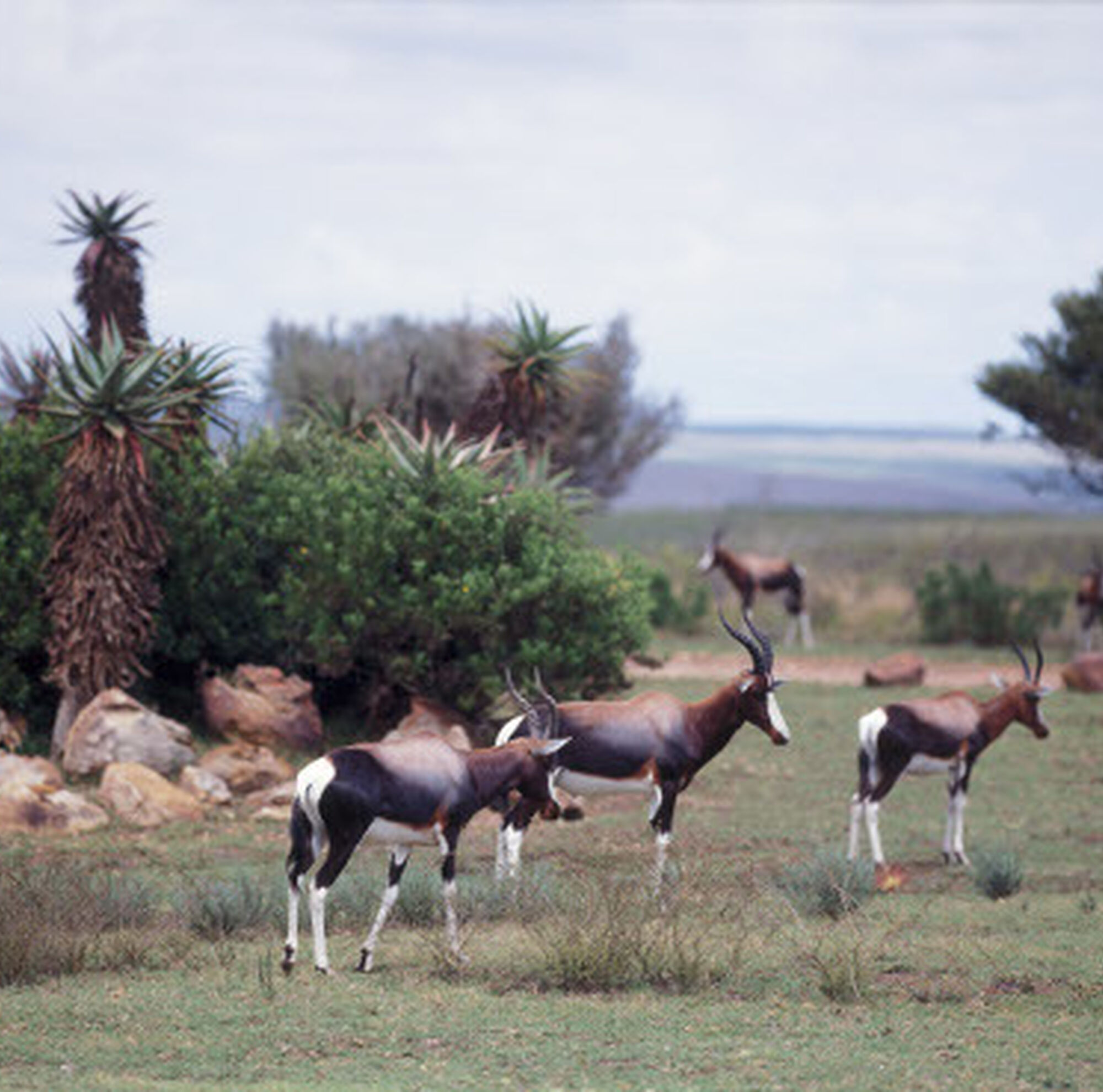 1507102419223 4yg Ex Cu6jm