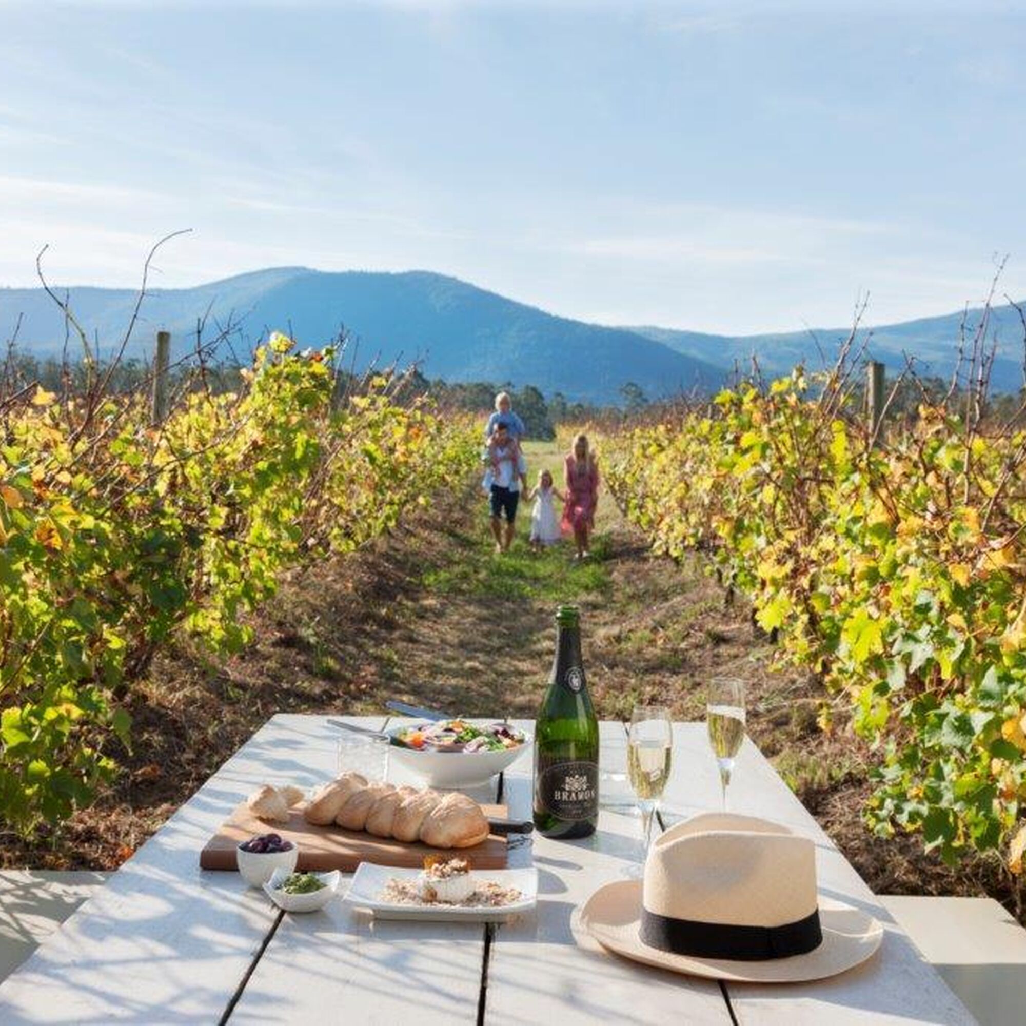 Afbd6375d21e3603c457429b9ef11554