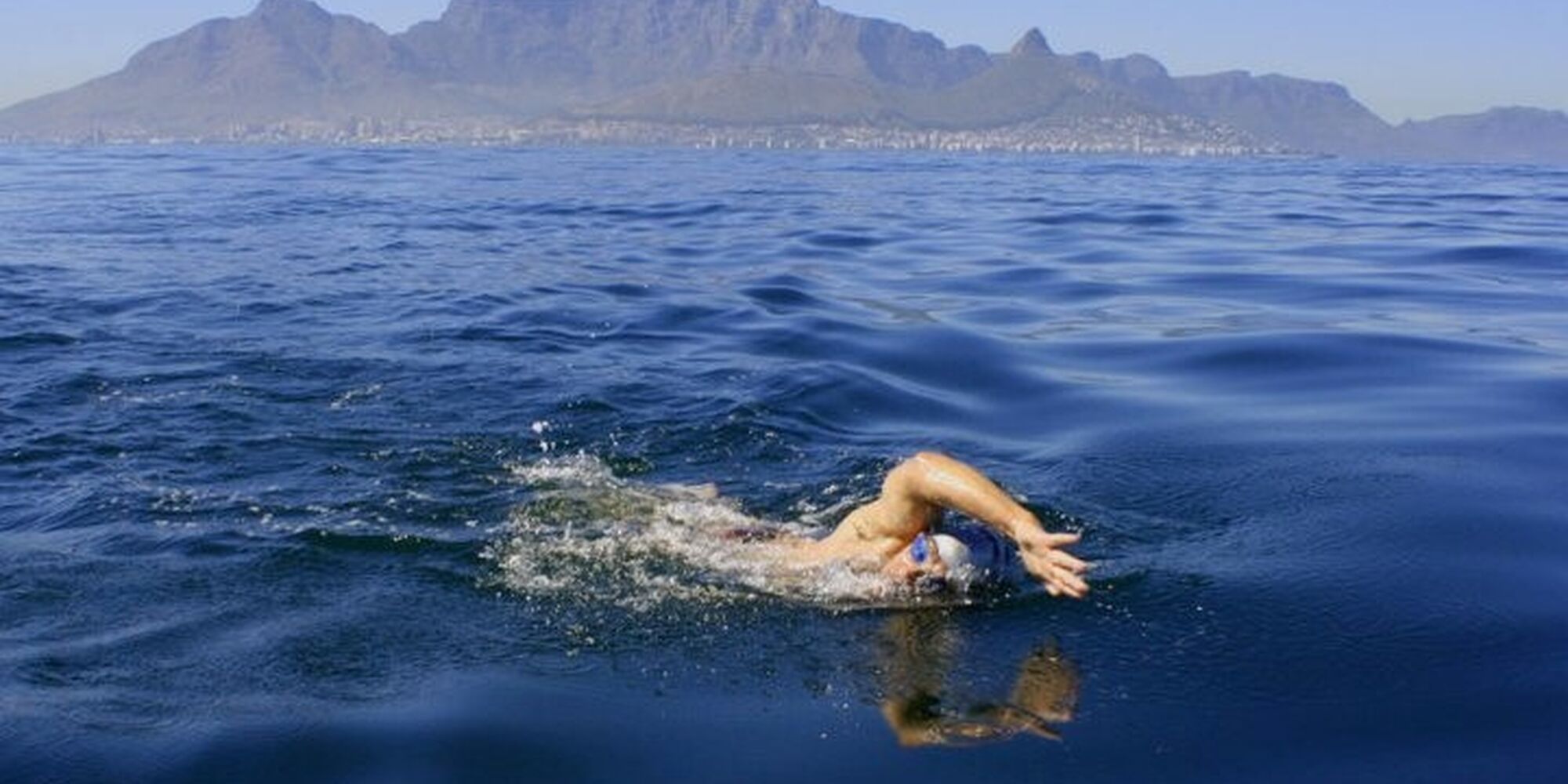 C355c723bfca829478df0bb8fea439a1