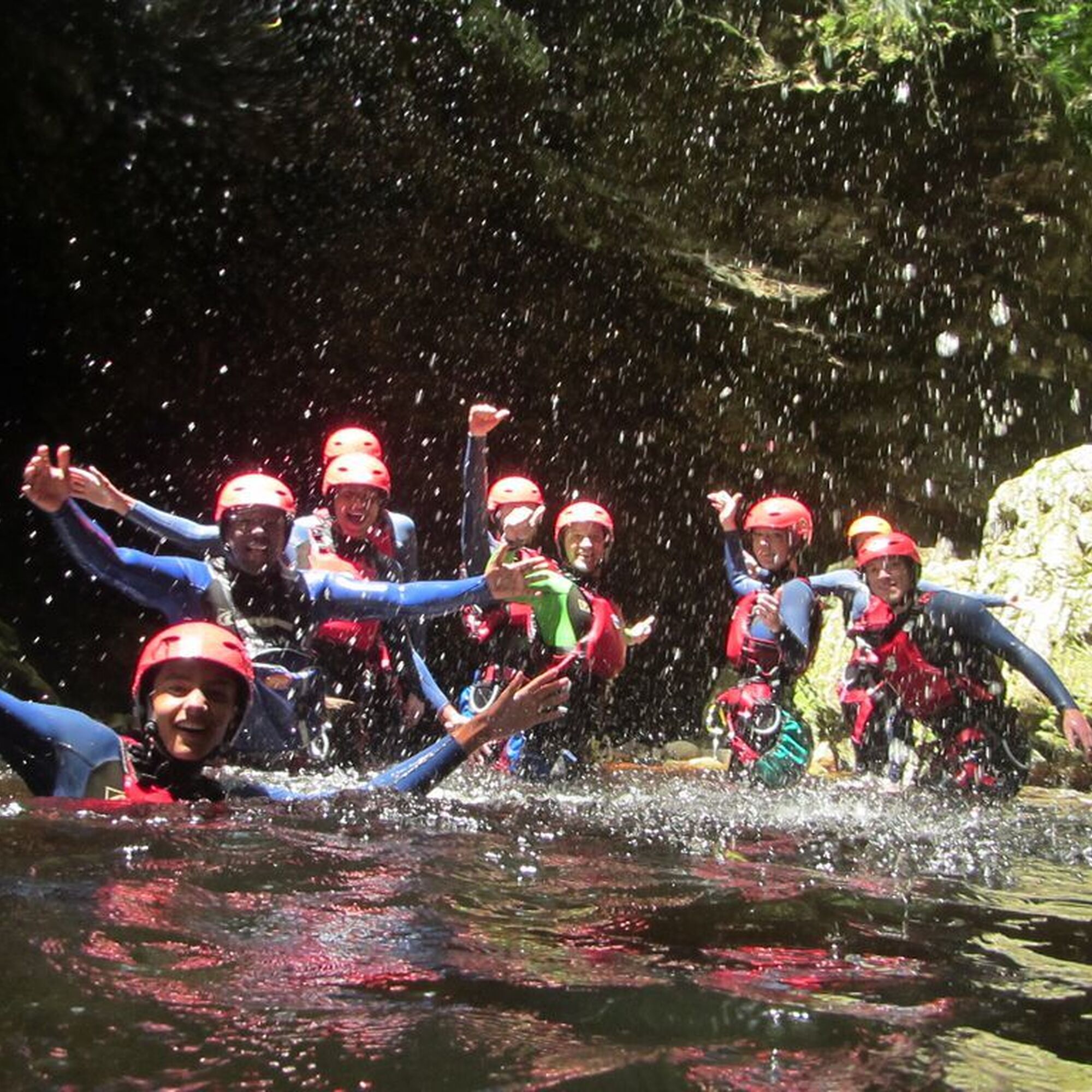 12958b0e27b385ff130a80168d98ed36