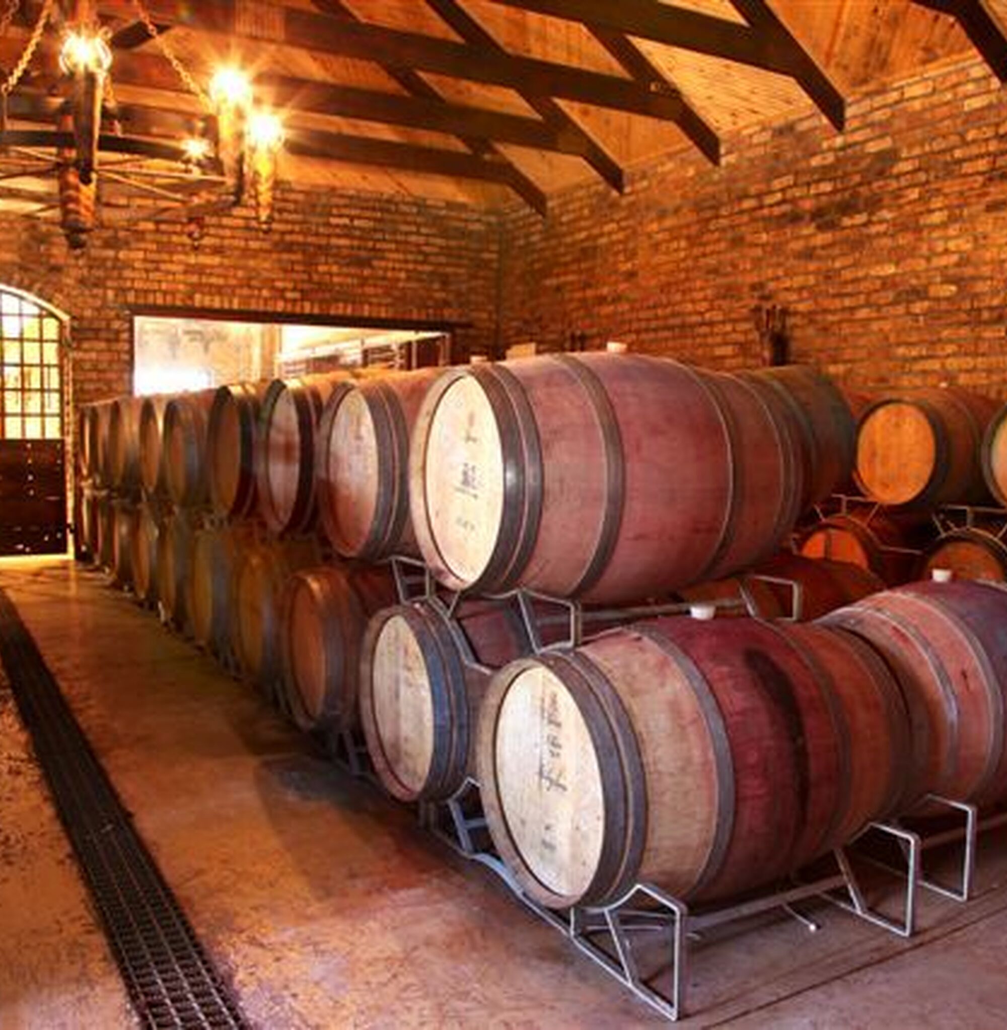 1486043105094 4 J Gb D Qhw M