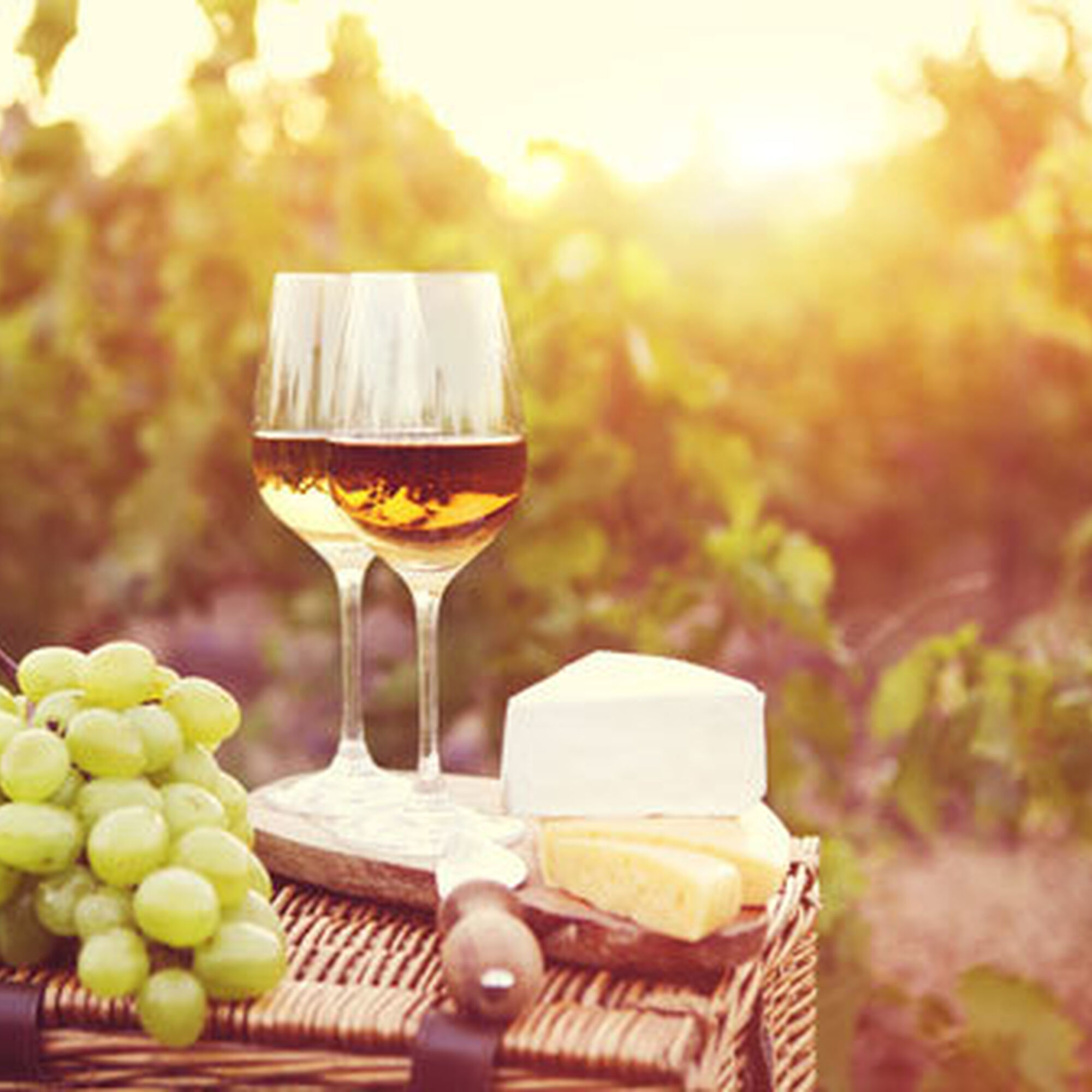 1484562780674 N1g Tugq B8 M