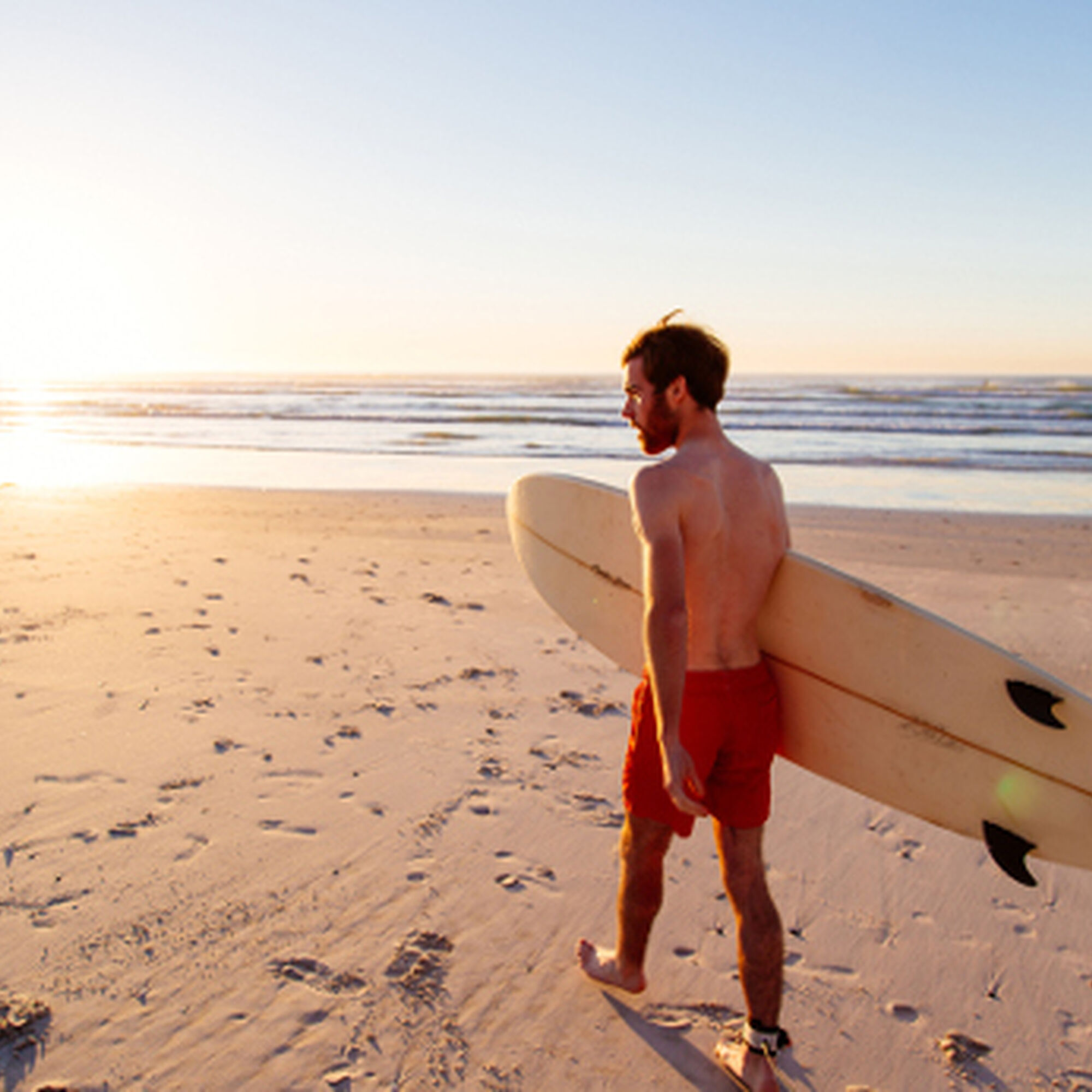 1500376207214 N Jelhs C Ur X