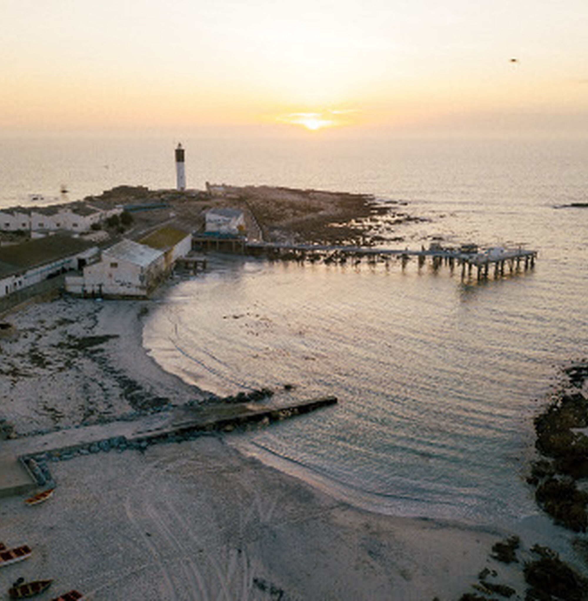 1511505738956 N1gsv0oge N