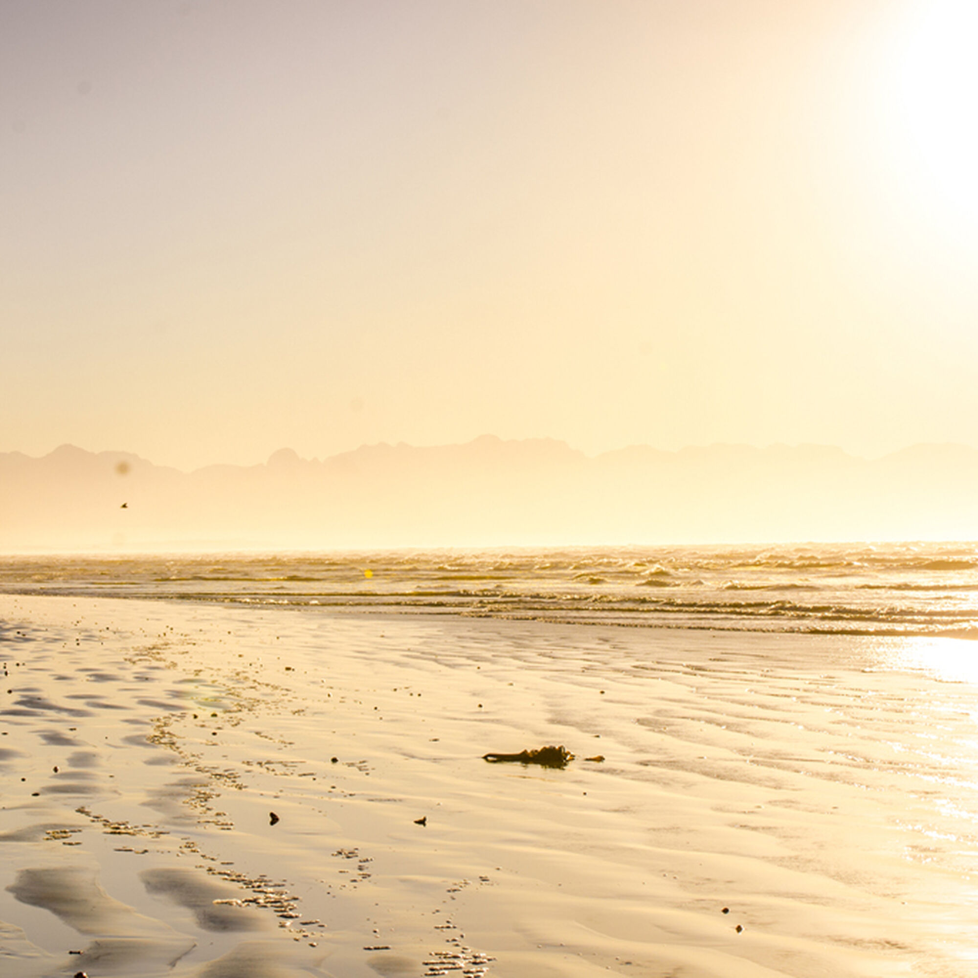 1512132408995 N1xt8 R49e E