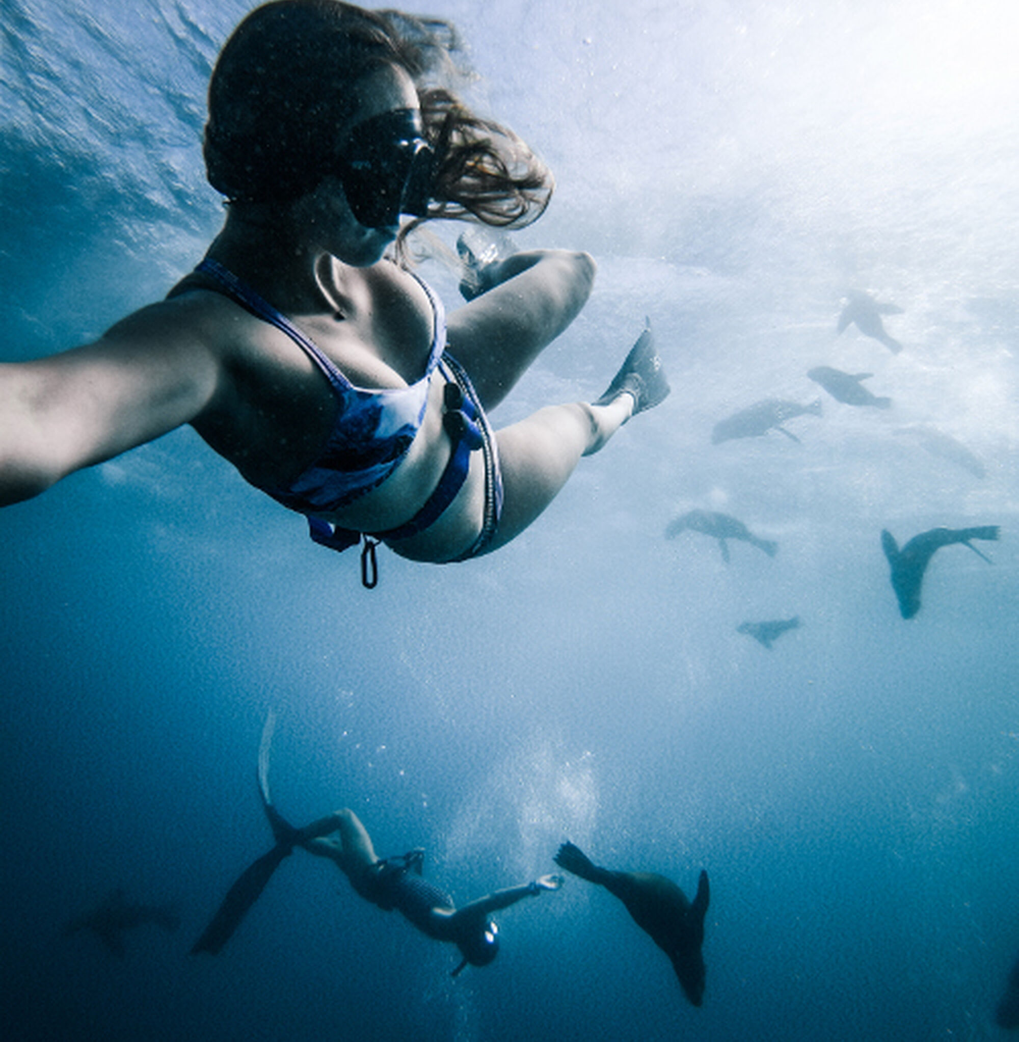 1533646382158 E1gk US Yz HB