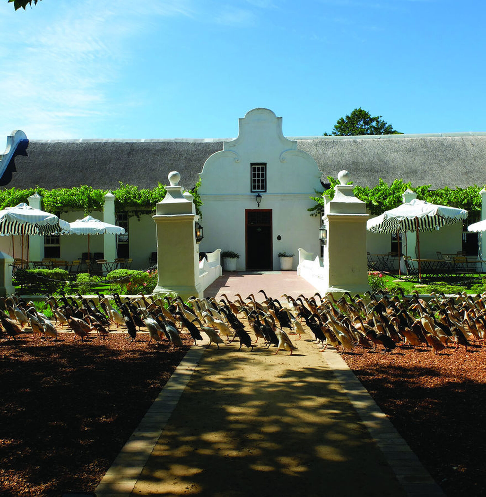 1534257272016 4ye Oc D Ao Hr