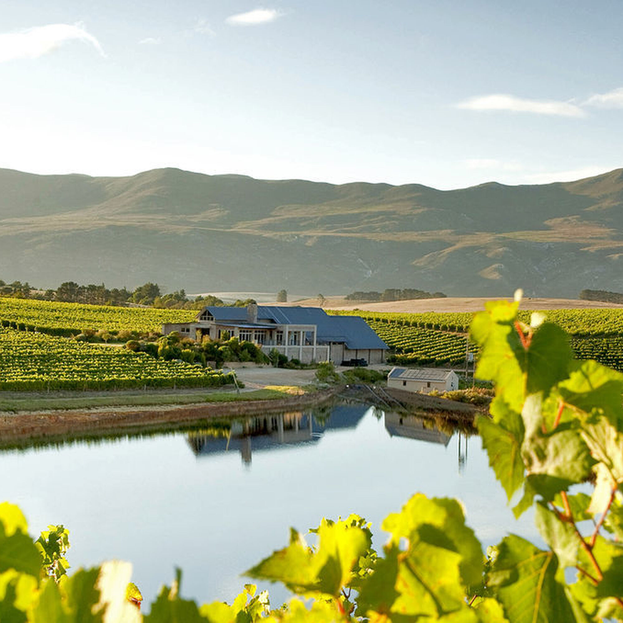 1534257293818 Vyx Cj P0sr S