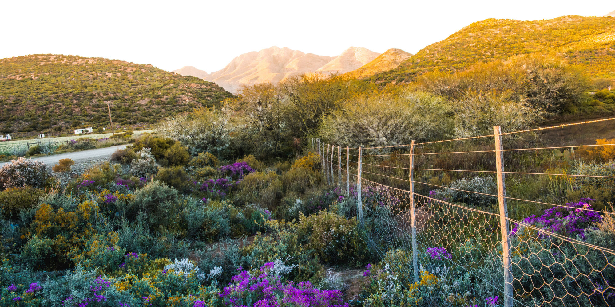 Mountain scenery Cape Town Tourism 1