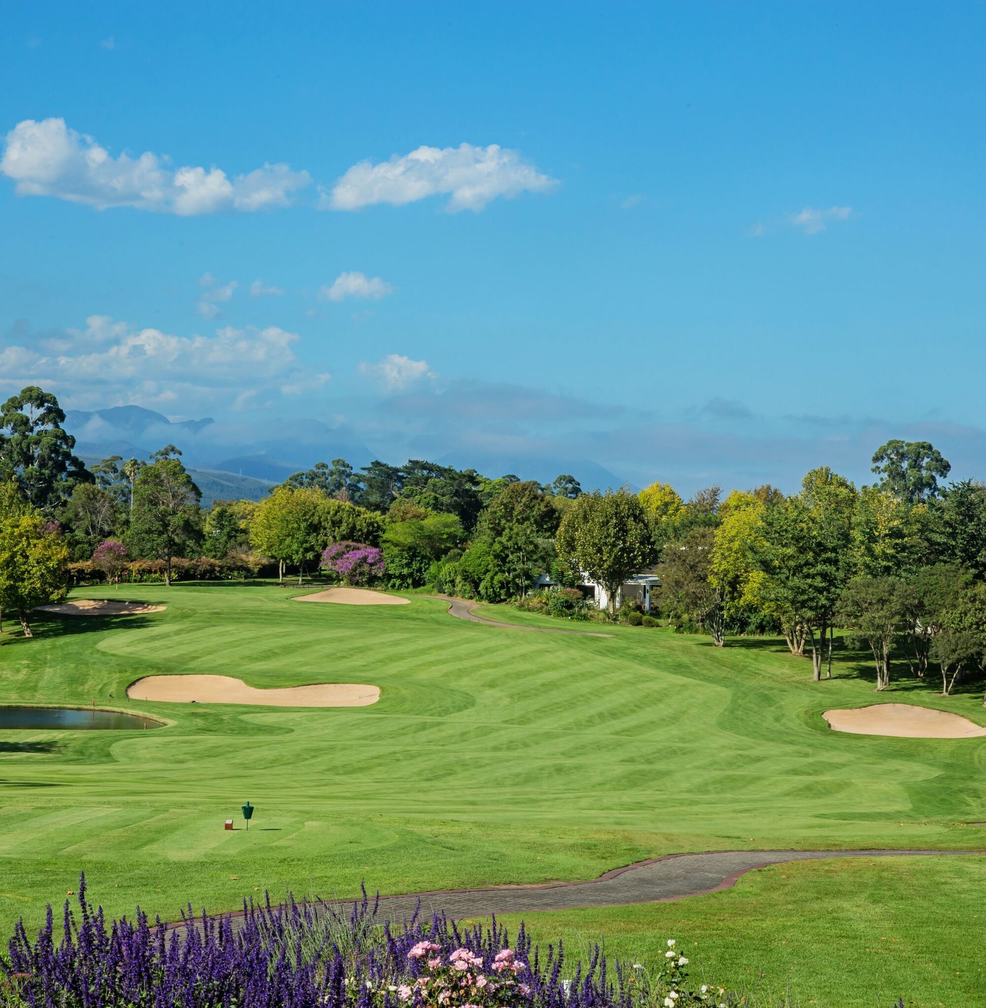 Outeniqua e1568638211761