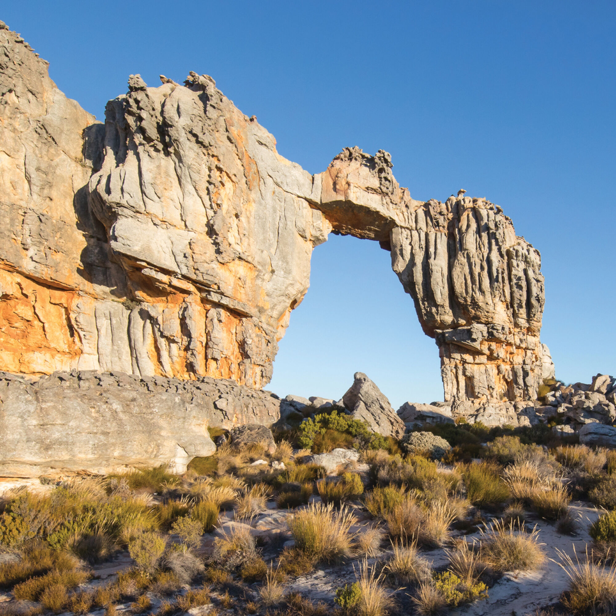 3274 We are open Web banner