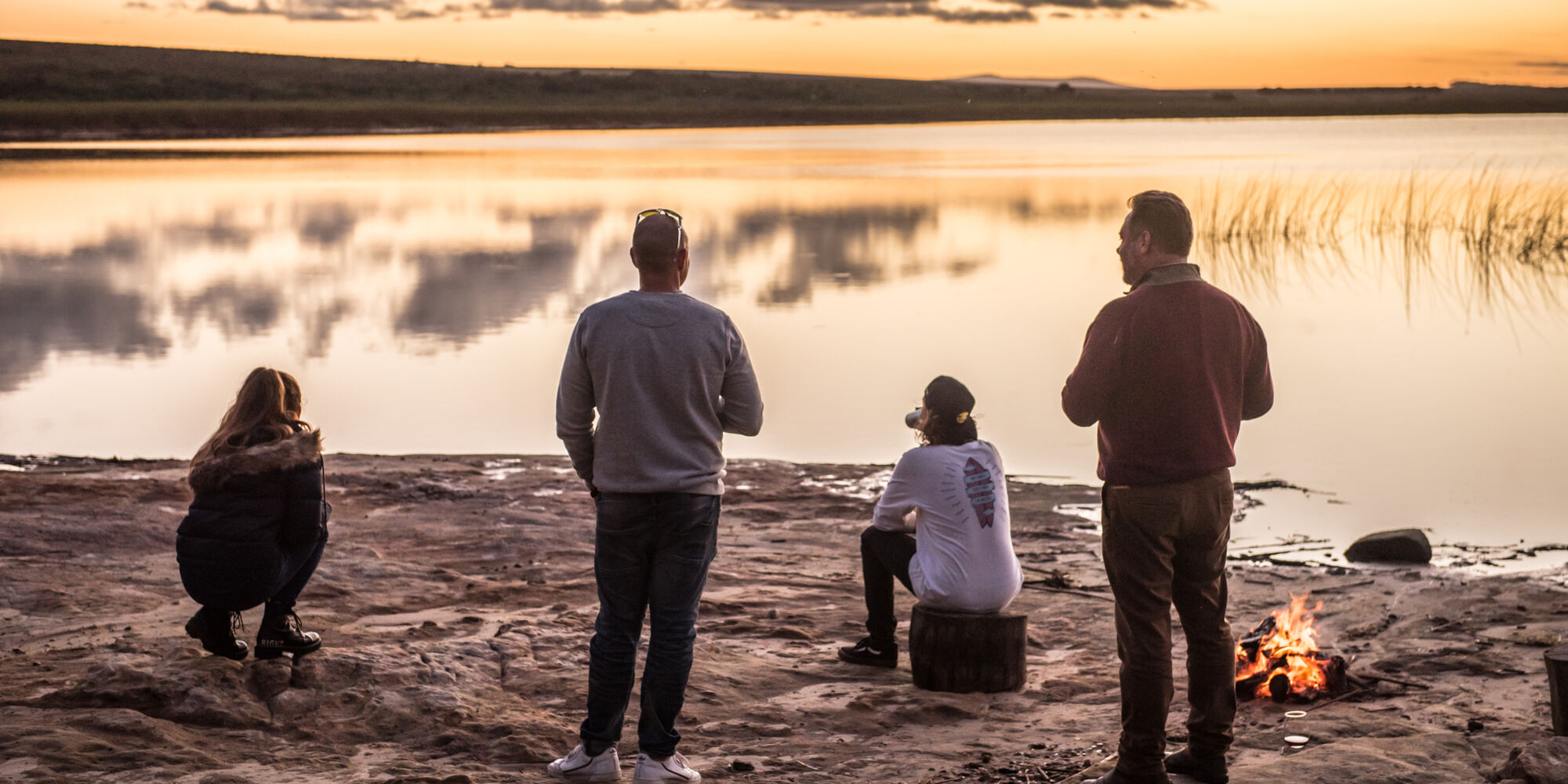 Oystercatcher 12 copy