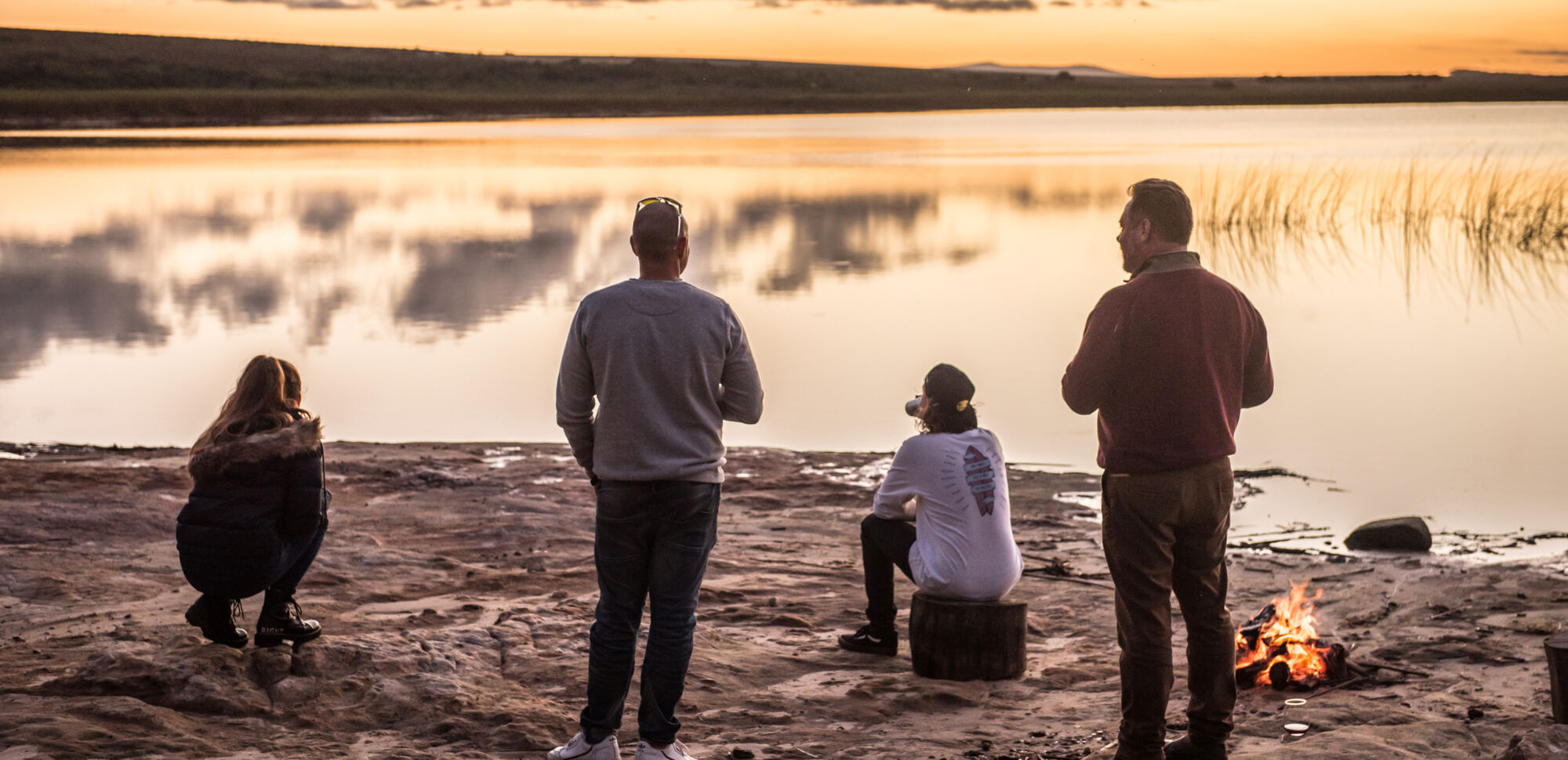 Oystercatcher 12 copy