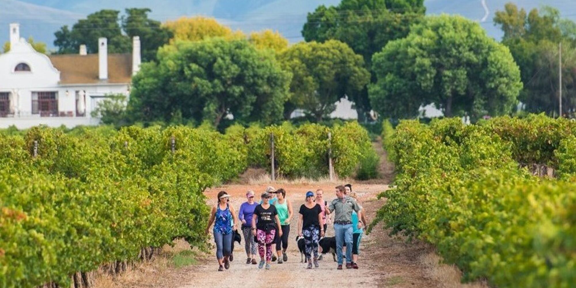 285295047 5325641340808353 6686696810279104921 n 285295047 5325641340808353 6686696810279104921 n