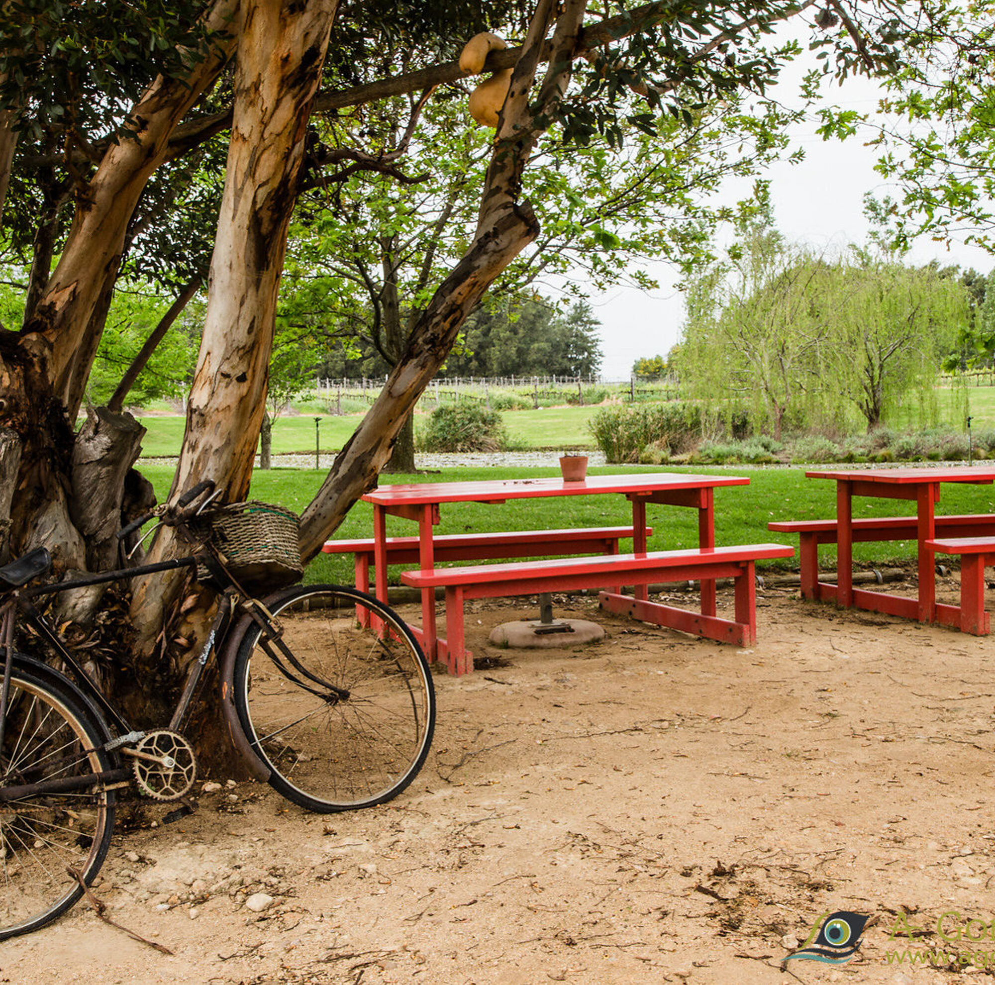 Stanford Overberg Credit Andrew Gorman