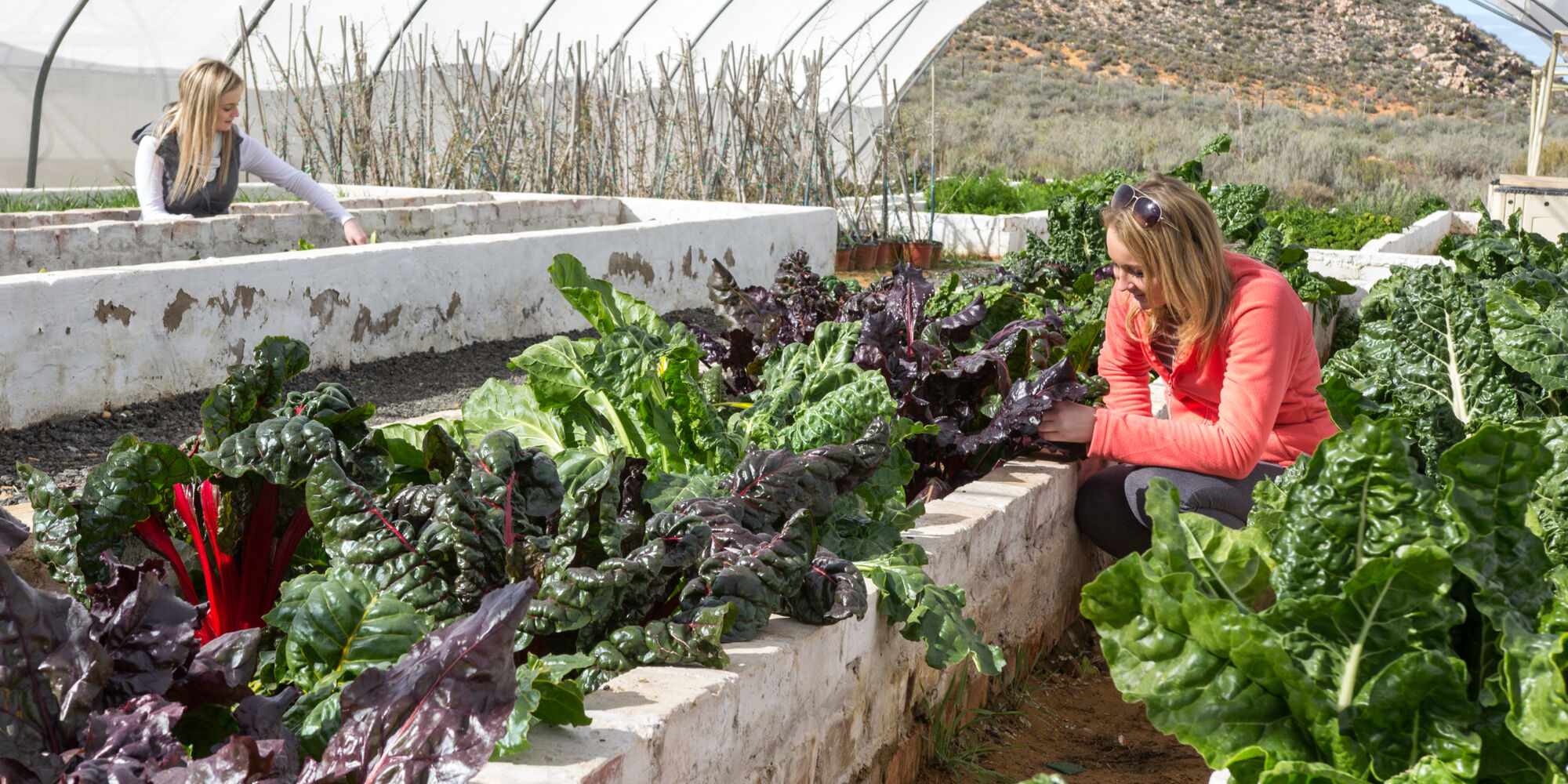 Aquila Game Reserve Eco Synergy Touws River Cape Karoo