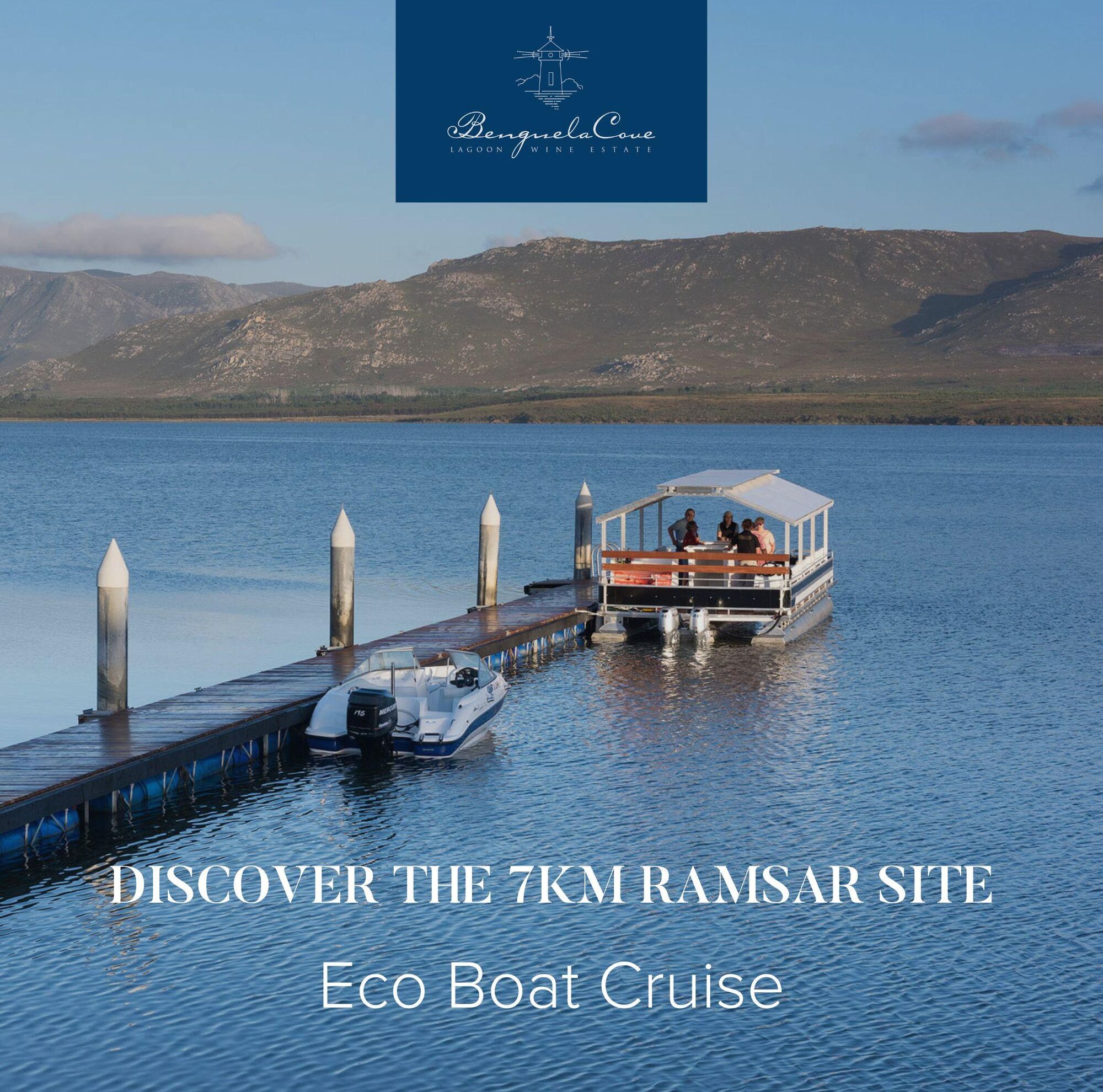 Benguela Eco Boat cruise Hermanus Overberg