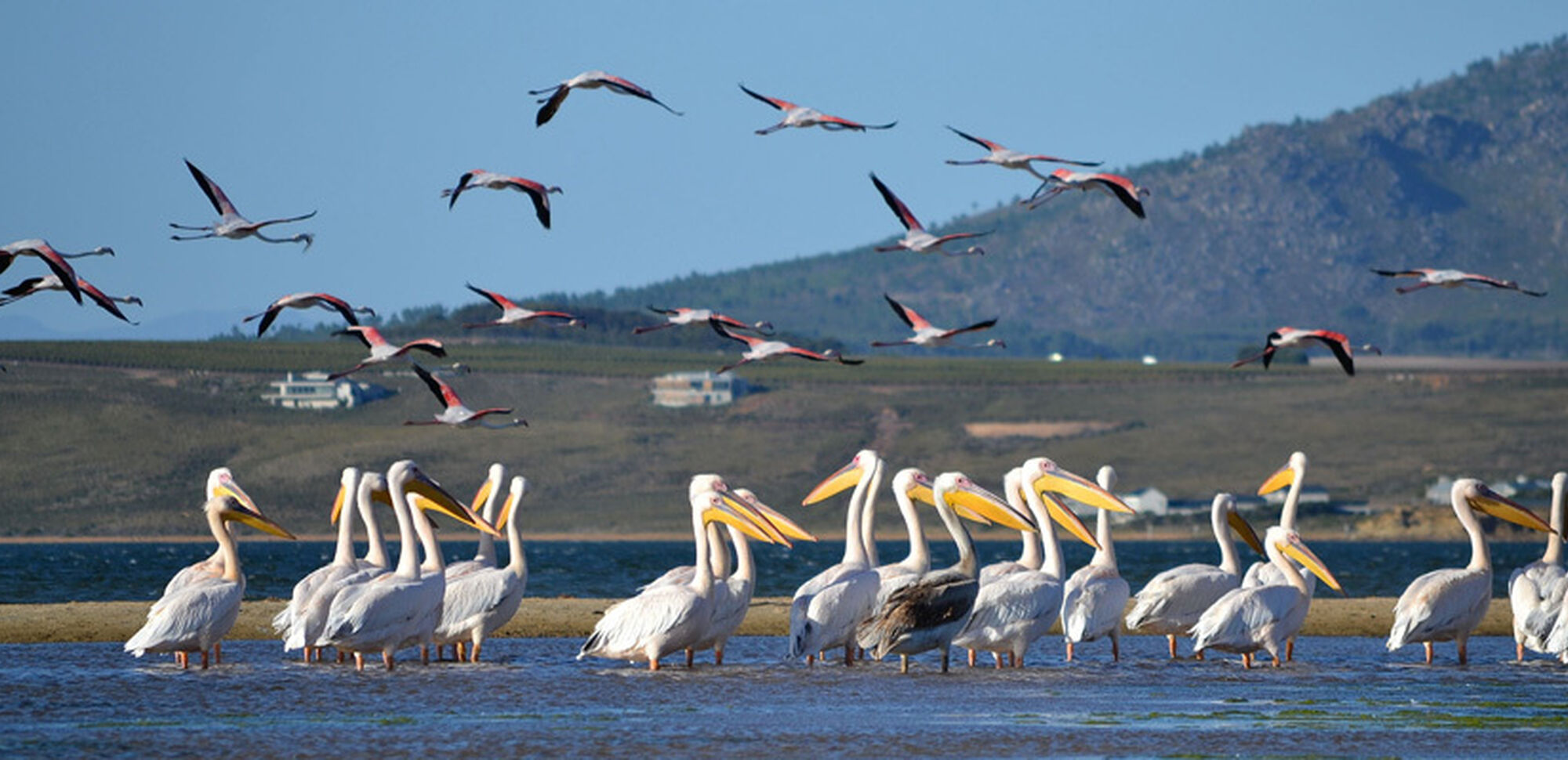 Benguela lagoon and sea home Hermanus Overberg