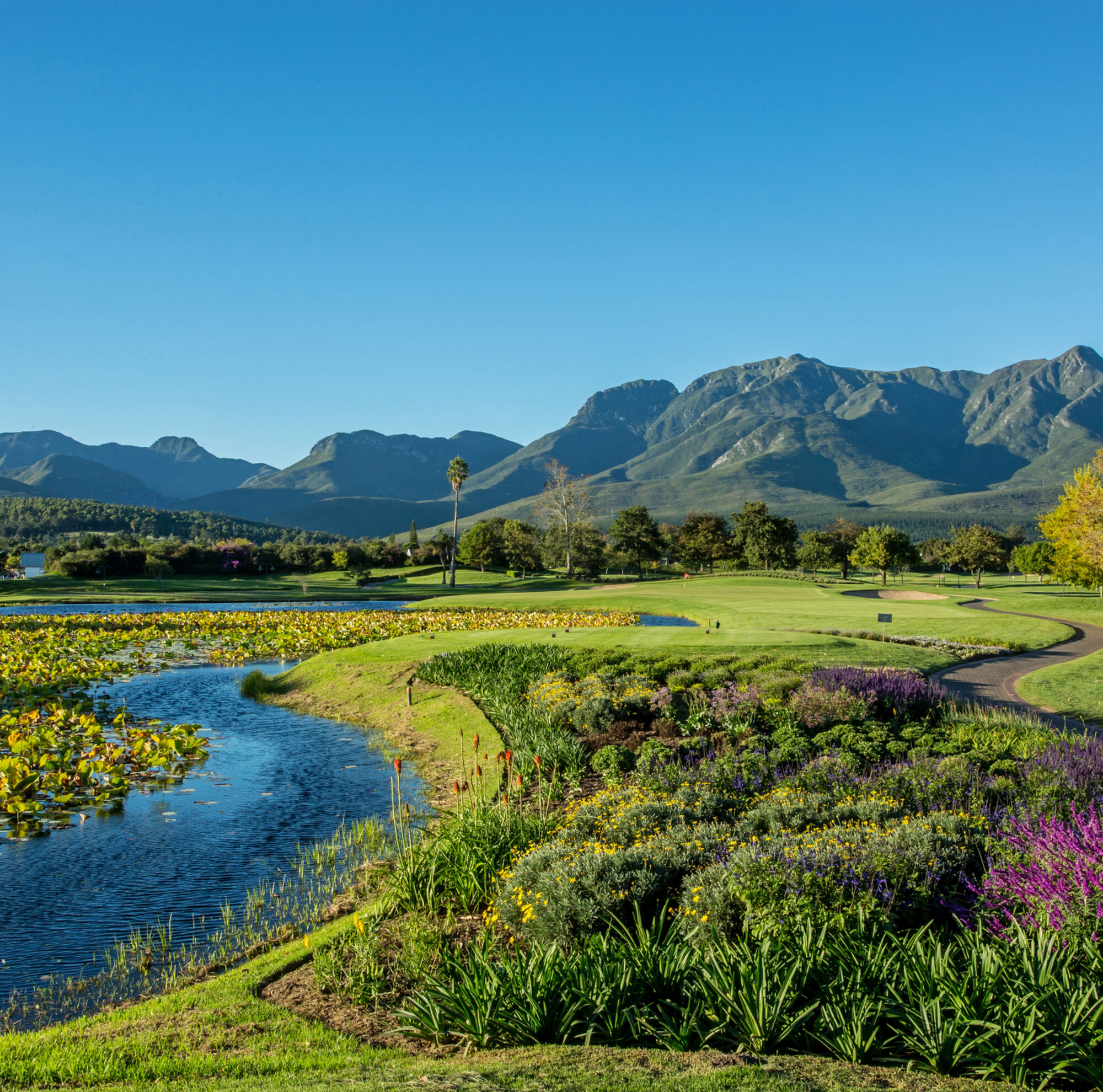 Outeniqua Fancourt George Garden Route