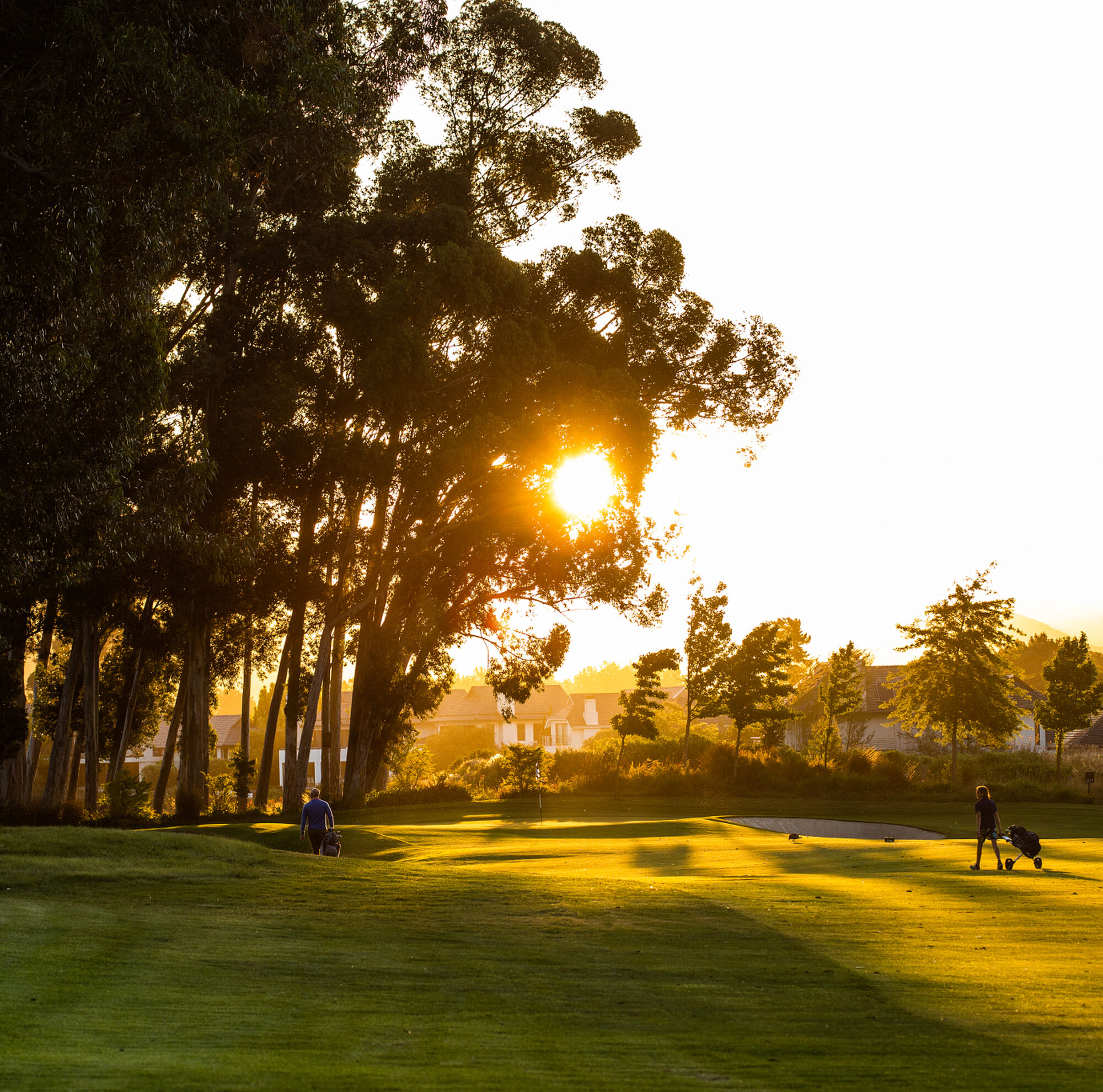 Pearl Valley Paarl Cape Winelands