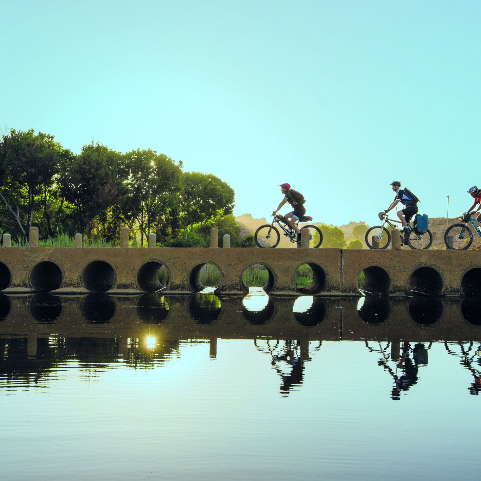 Retroyspective CCR Cederberg 187 repro