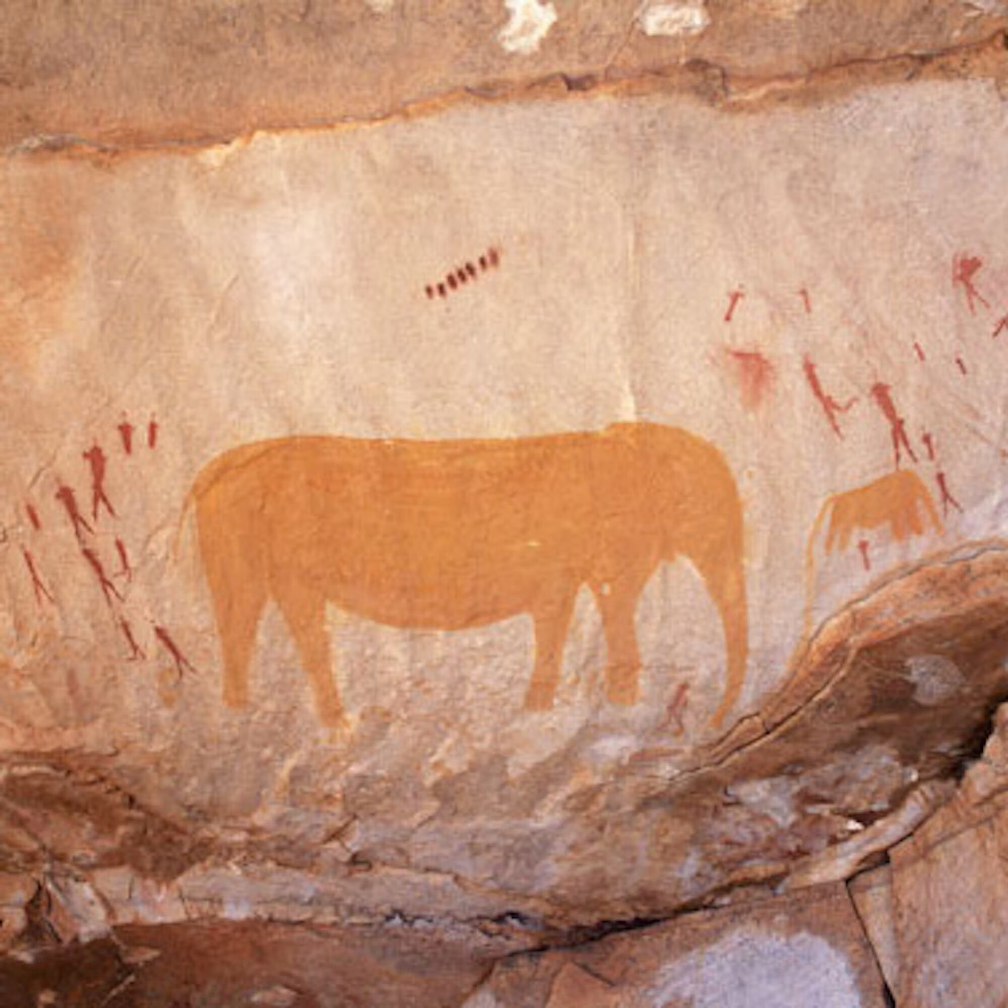 4d064ea8e35beadb45ff8f4578332442