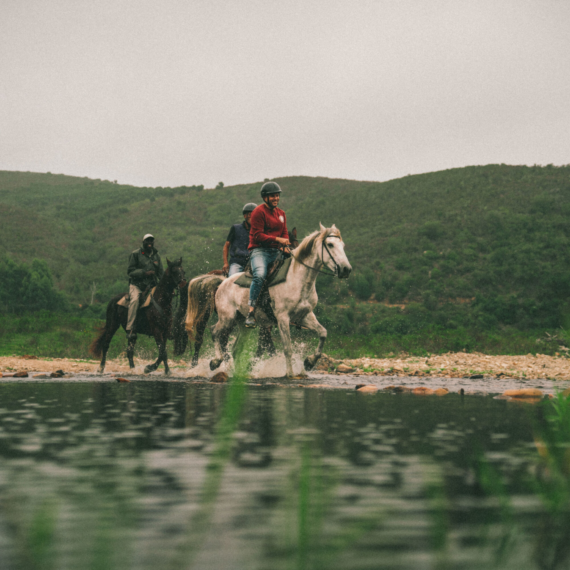 Horse Riding at Botlierskop Game Reserve 1 Horse Riding at Botlierskop Game Reserve 1