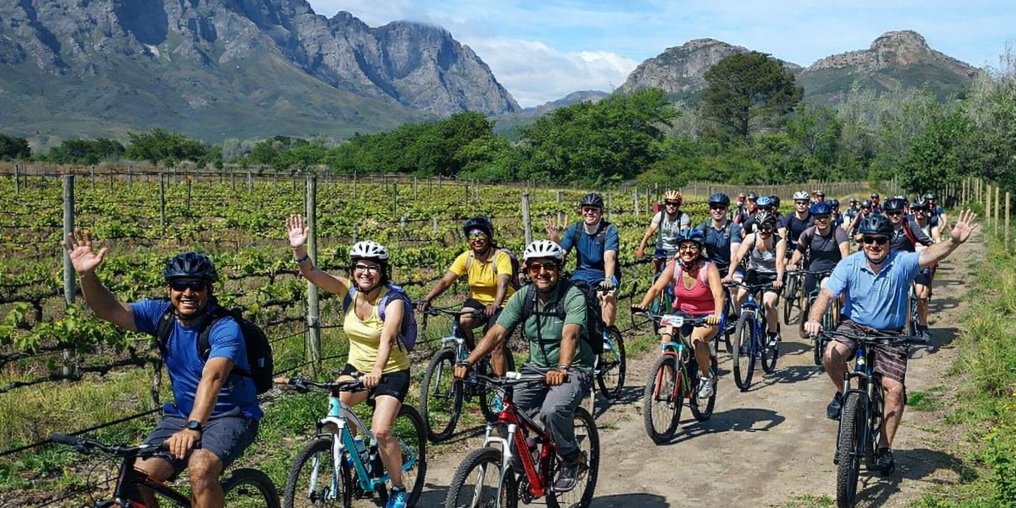 Cyclers in Winelands Cyclers in Winelands