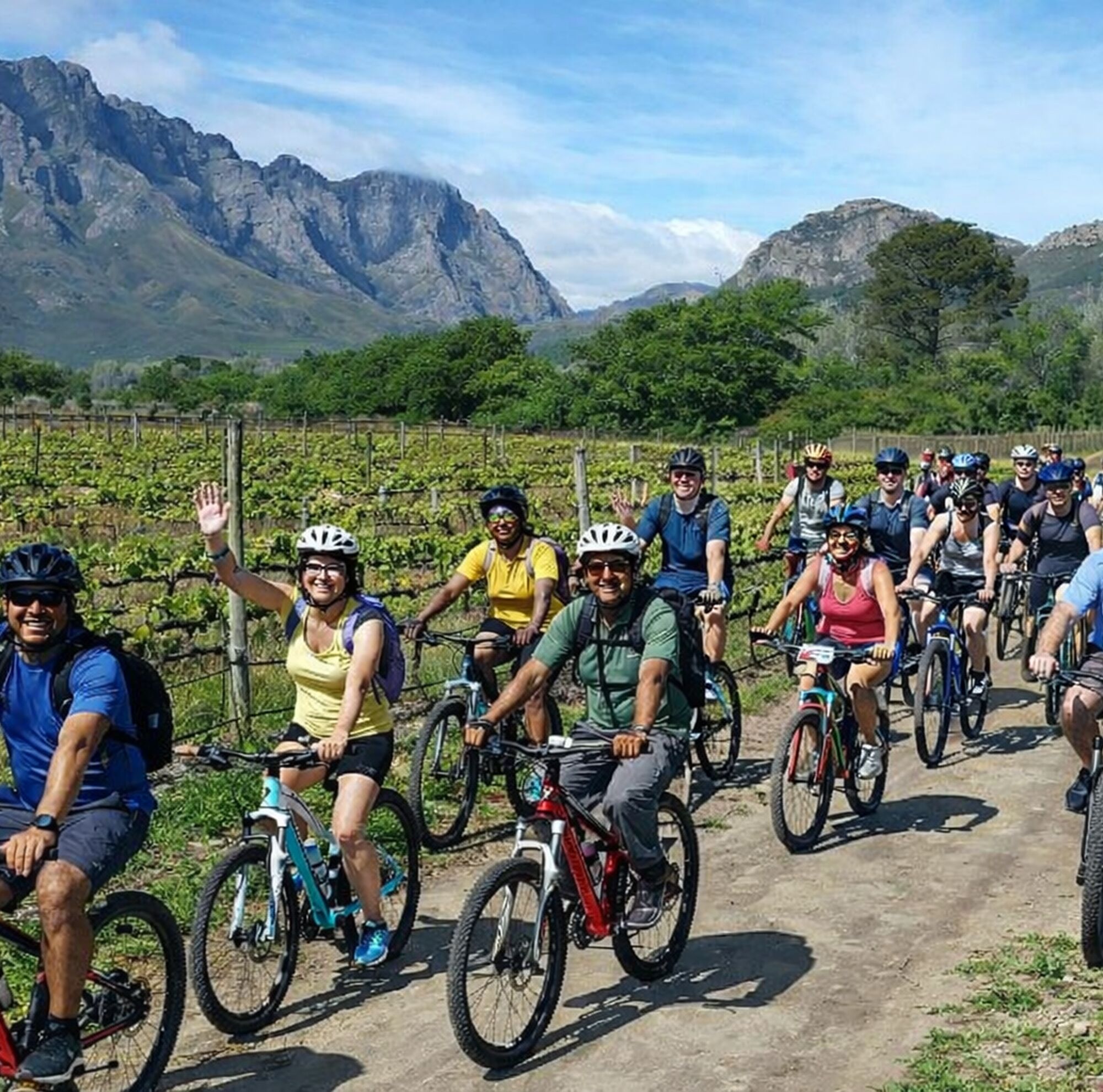 Cyclers in Winelands Cyclers in Winelands