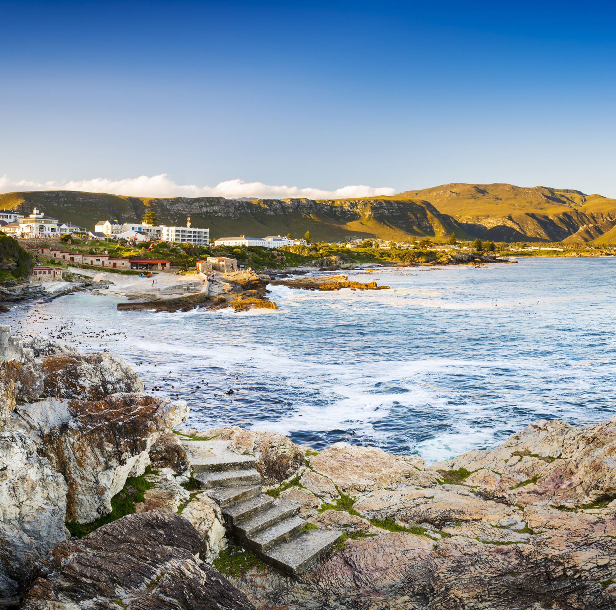 Shutterstock 516895546