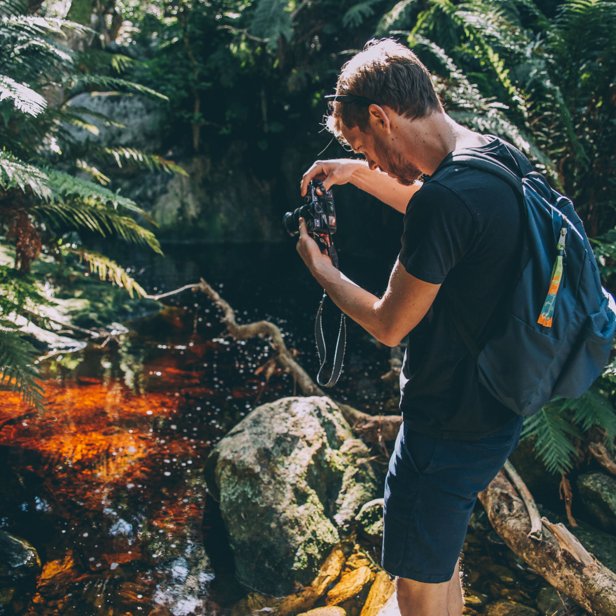 DiscoverCTWC DiscoverCTWC