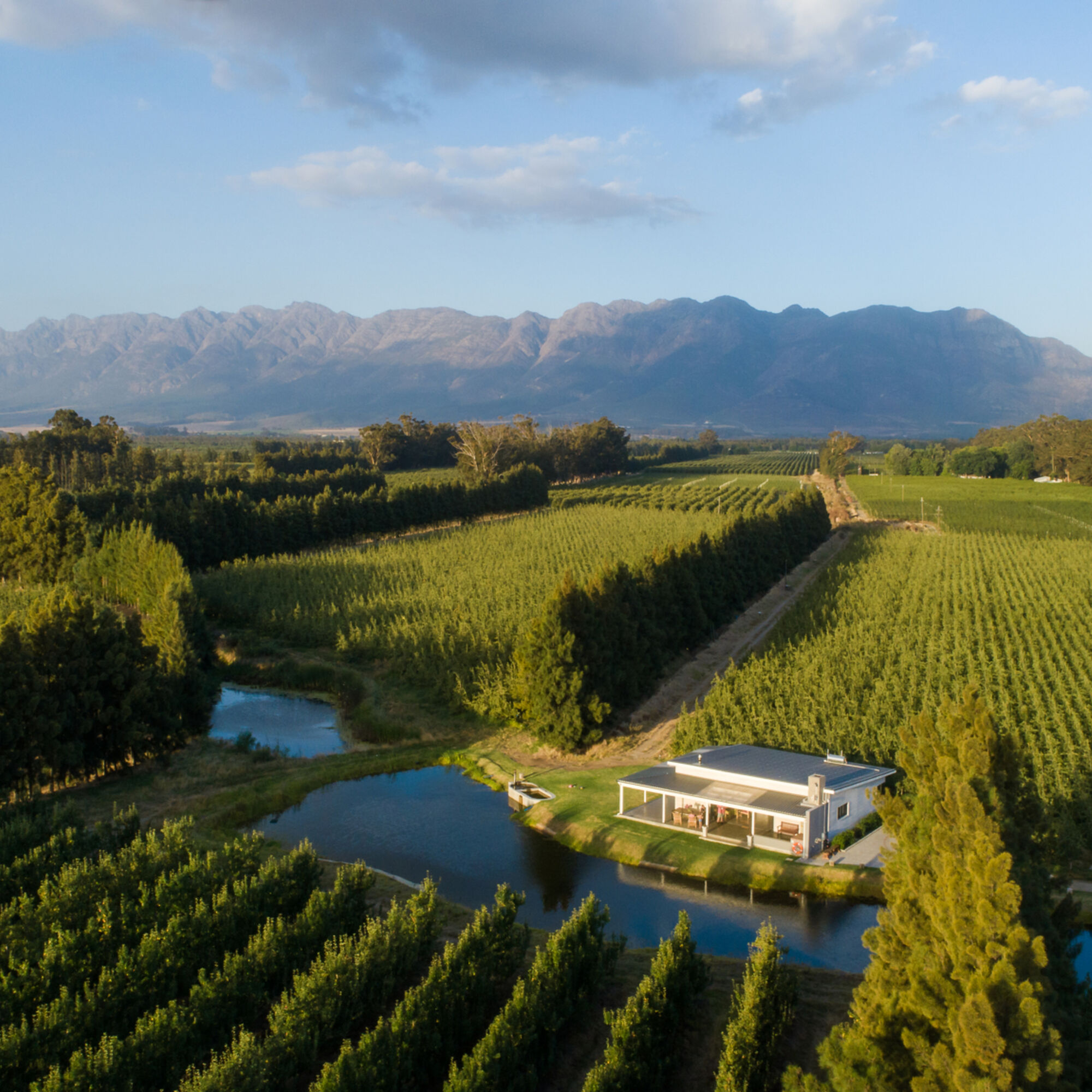 Wolseleyza Wolseleyza