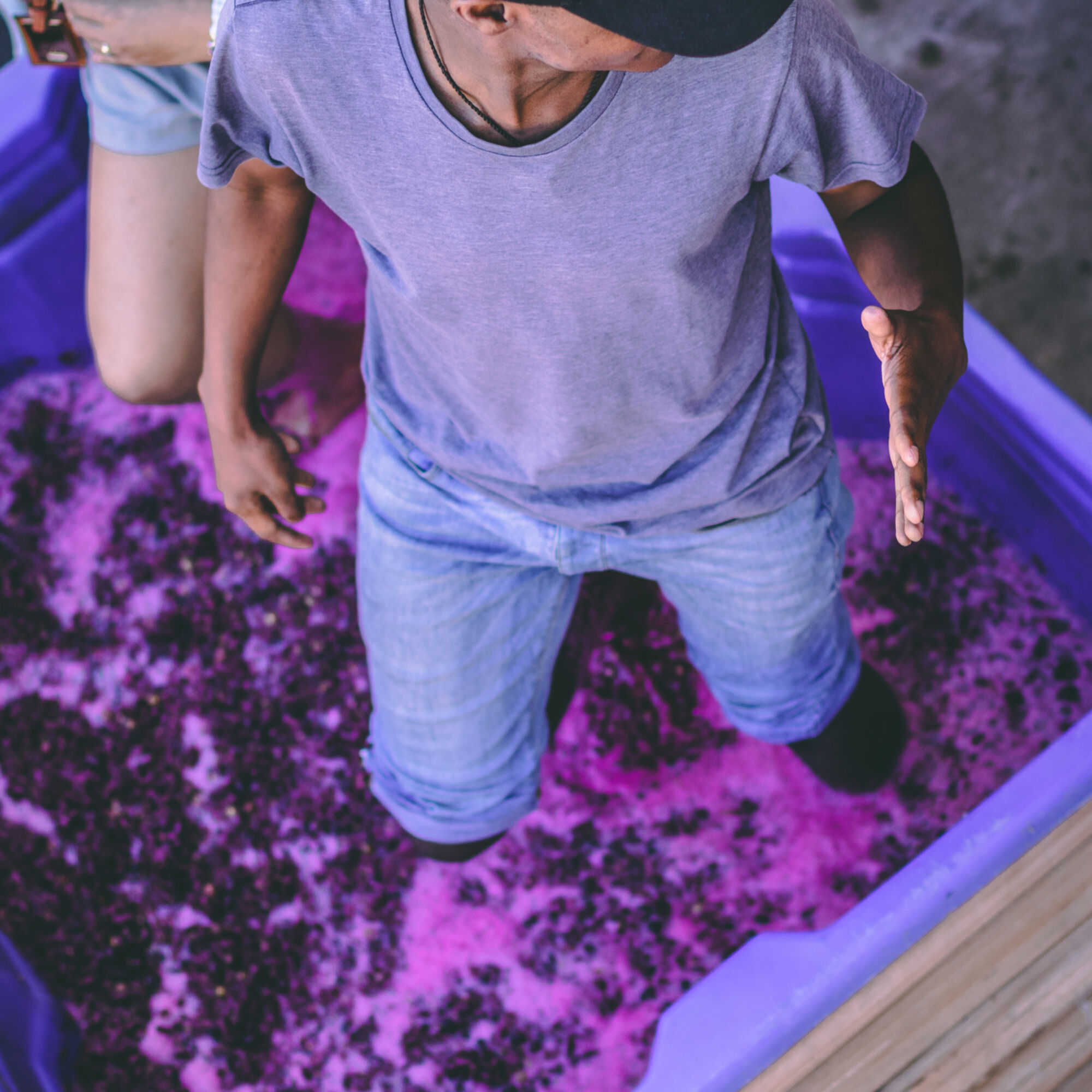 Visitpaarl Visitpaarl