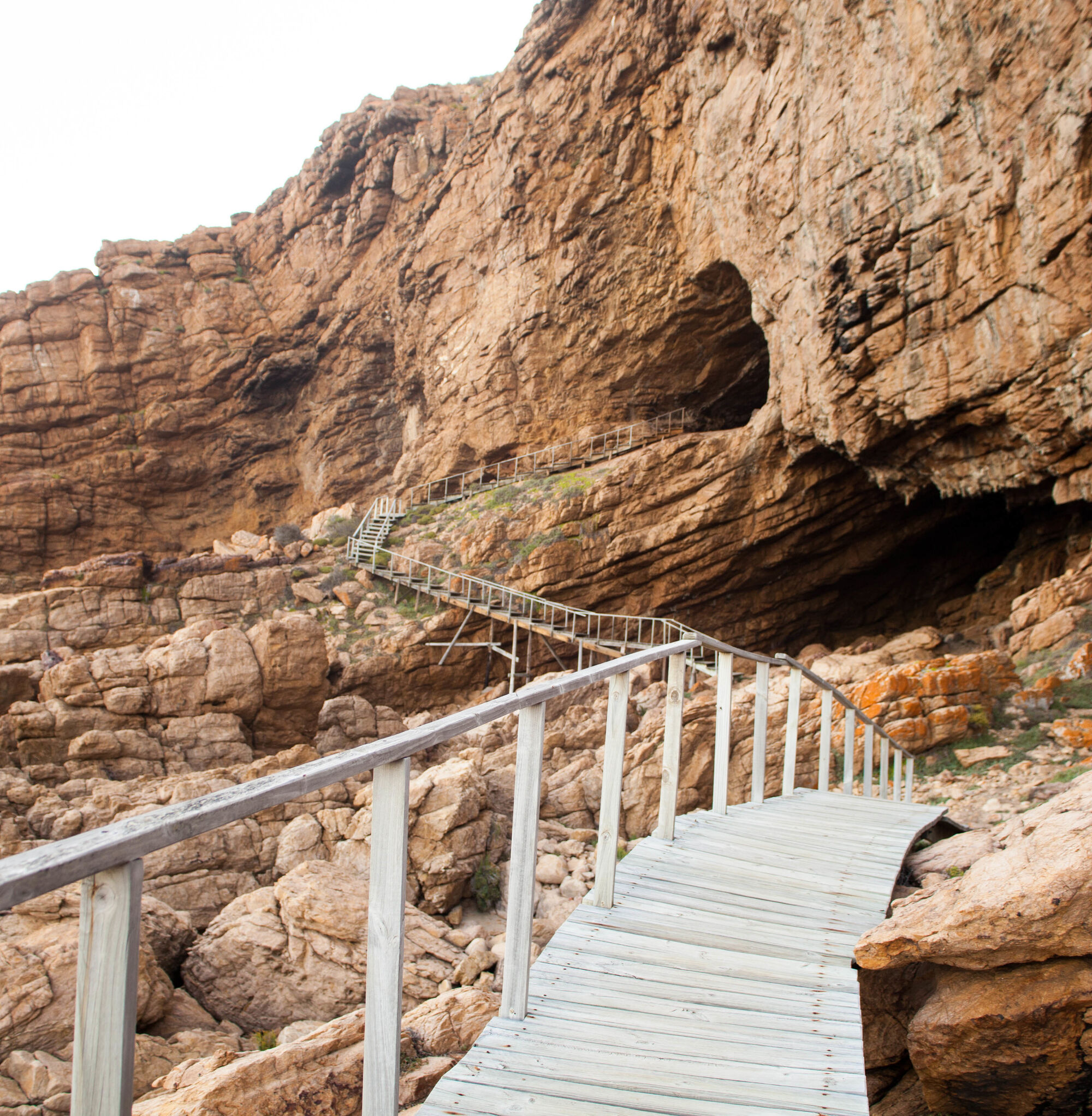 Point of Human Origin credit Magic Mill