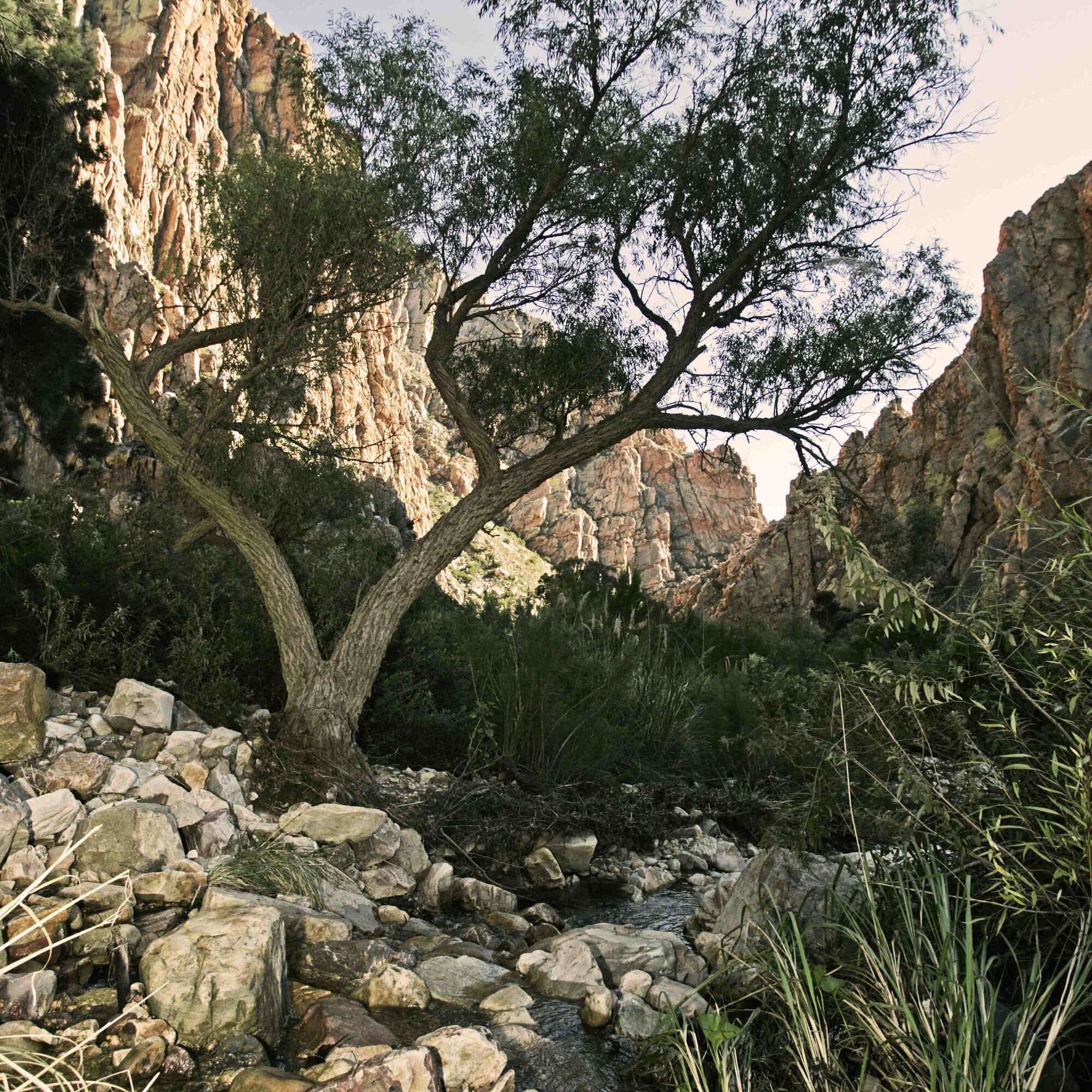 Prince Albert Tourism