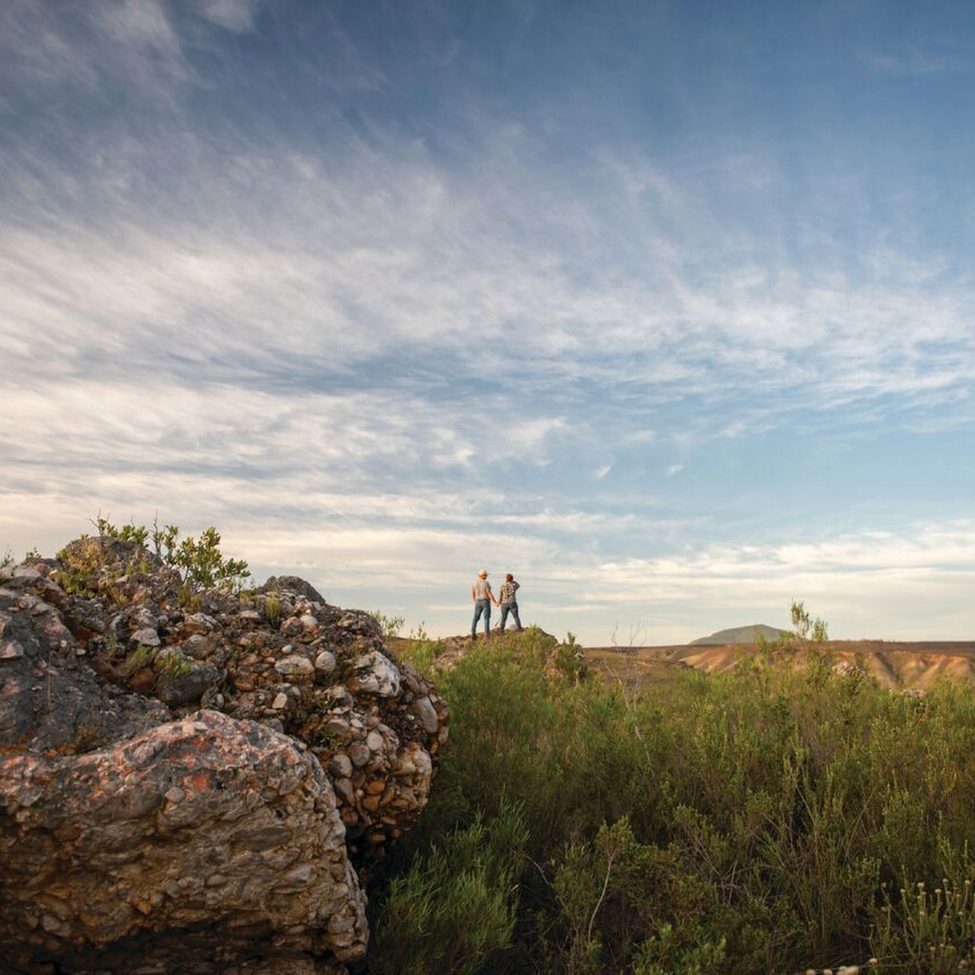 Gondwana Landscape 1