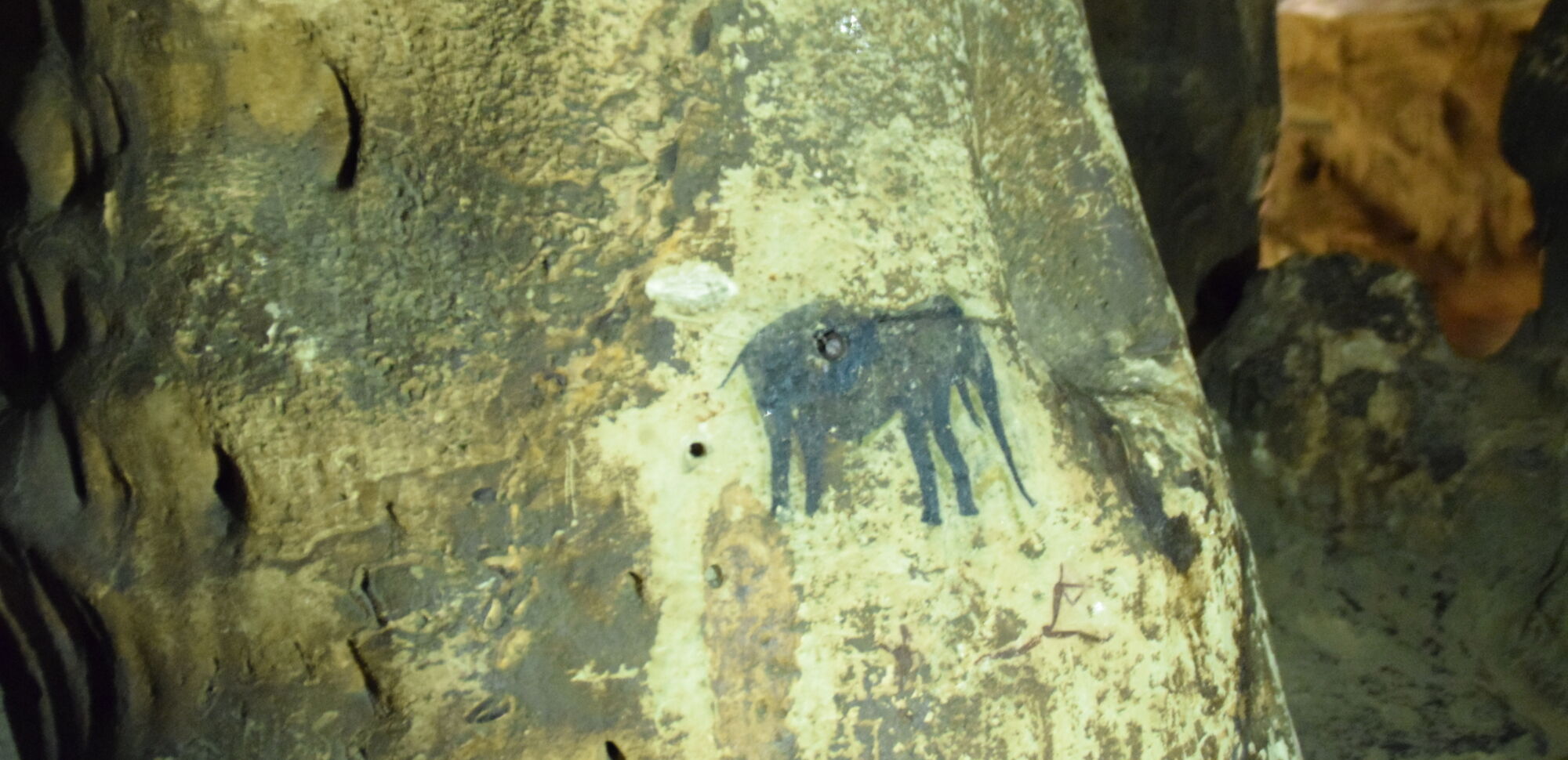 46963257295 196204b2b4 o