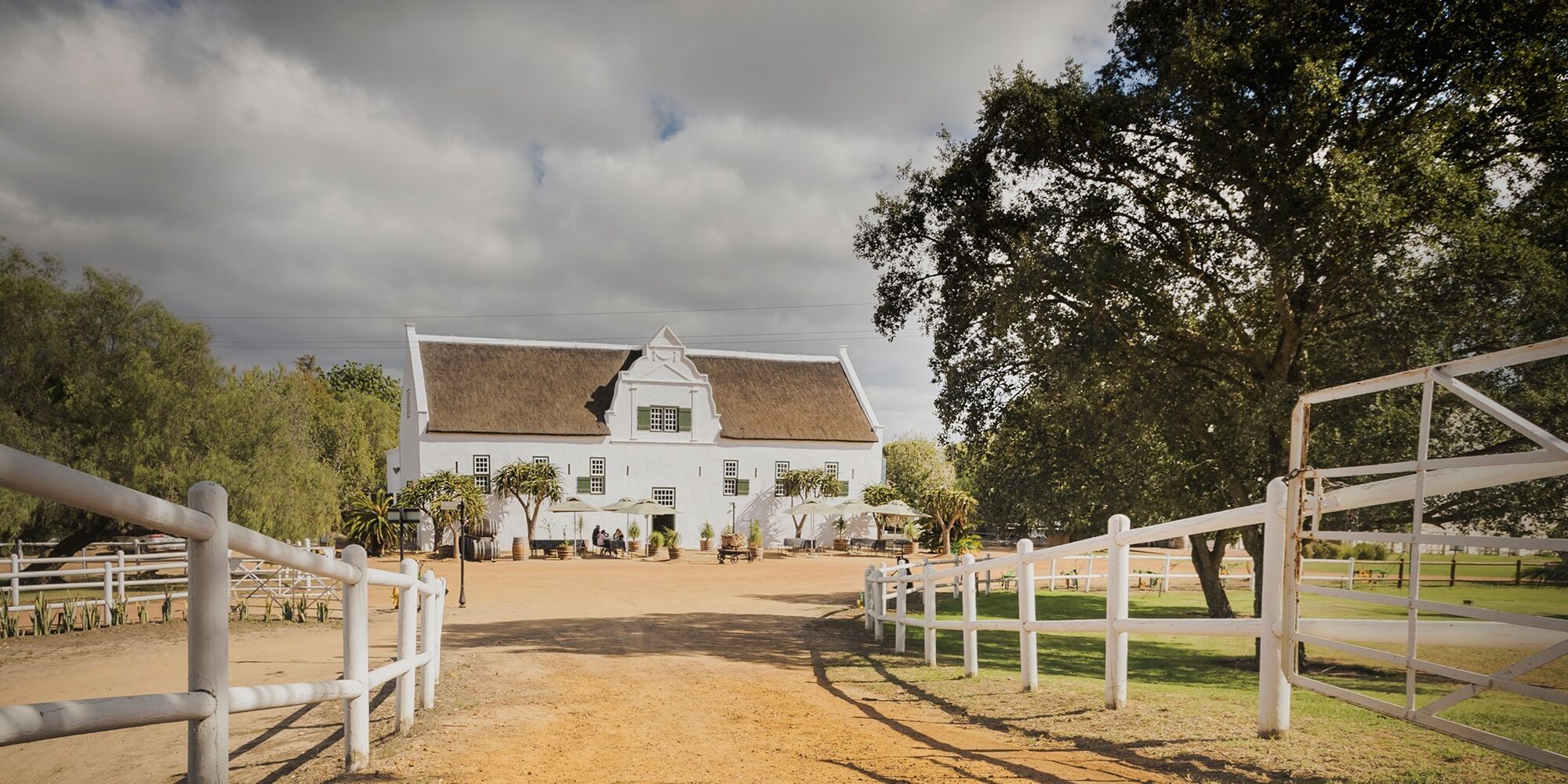Groote Post Vineyards Groote Post Vineyards