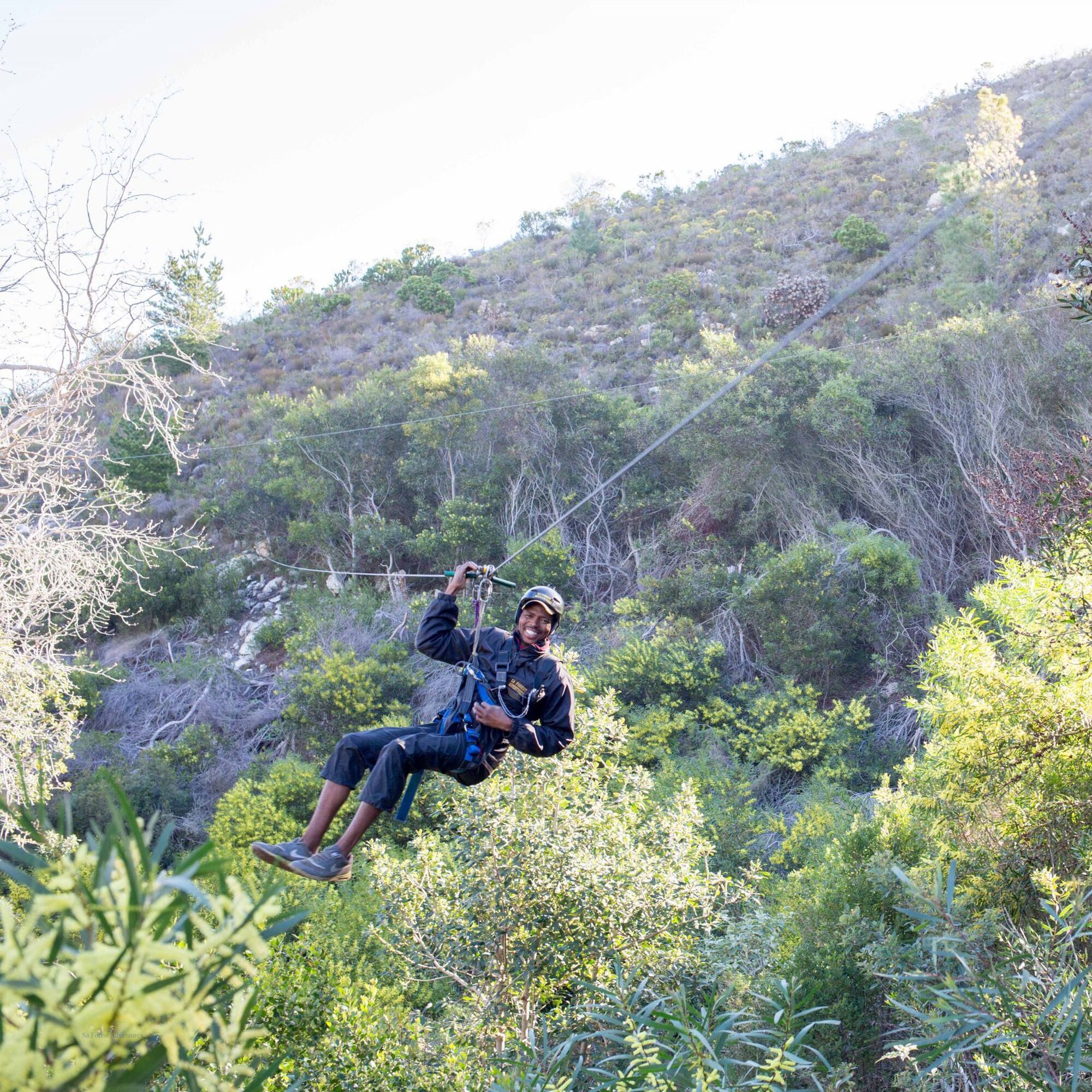 Hermanus Tree Top Zipline 1